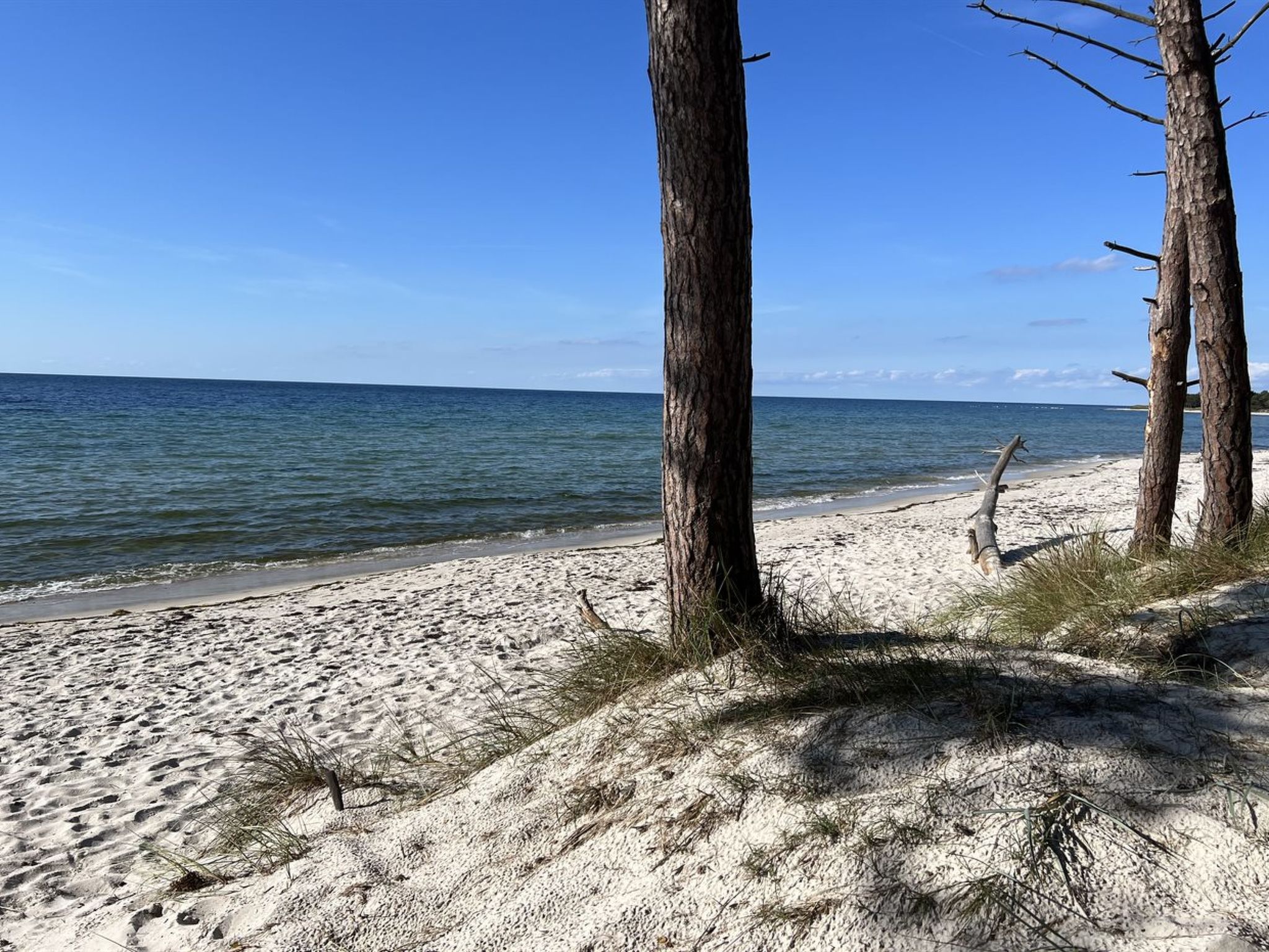 "Micaela" - 450m from the sea - Buiten