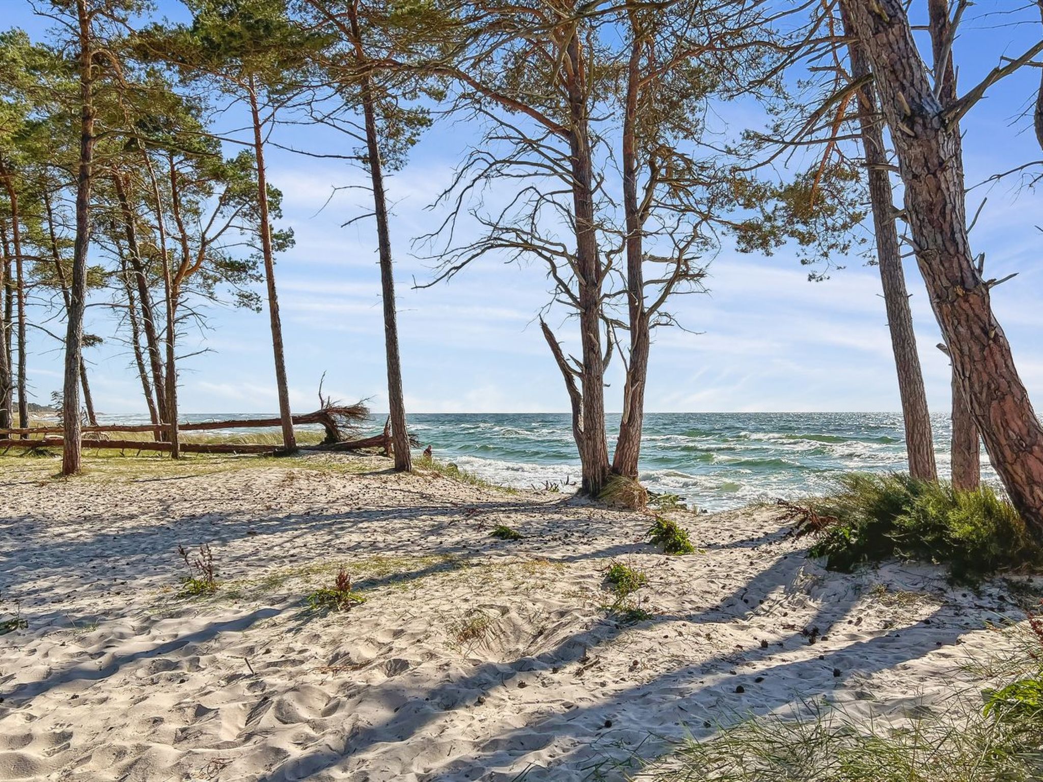 "Ellynor" - 600m from the sea-Dehors