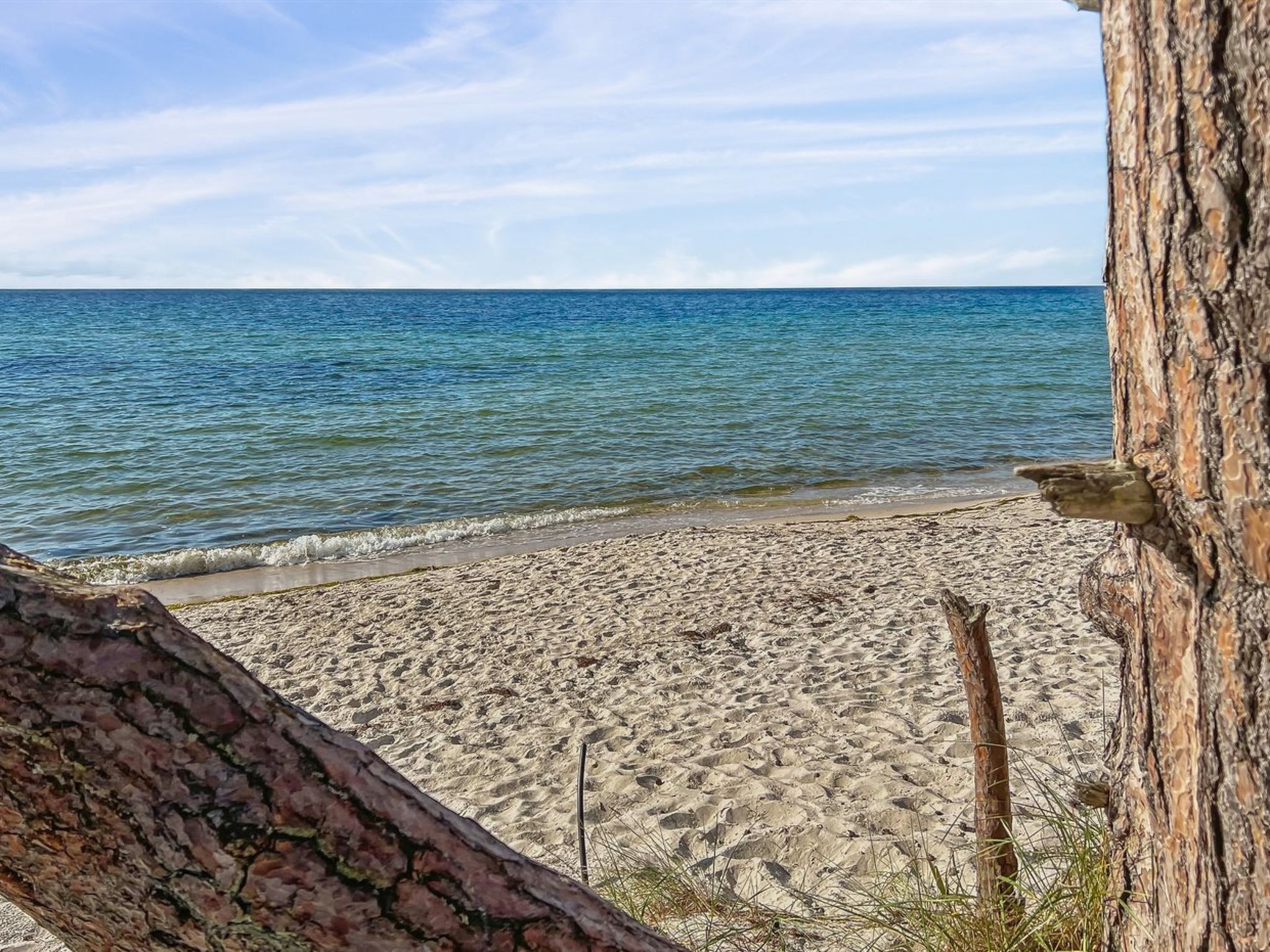 "Ellynor" - 600m from the sea-Dehors