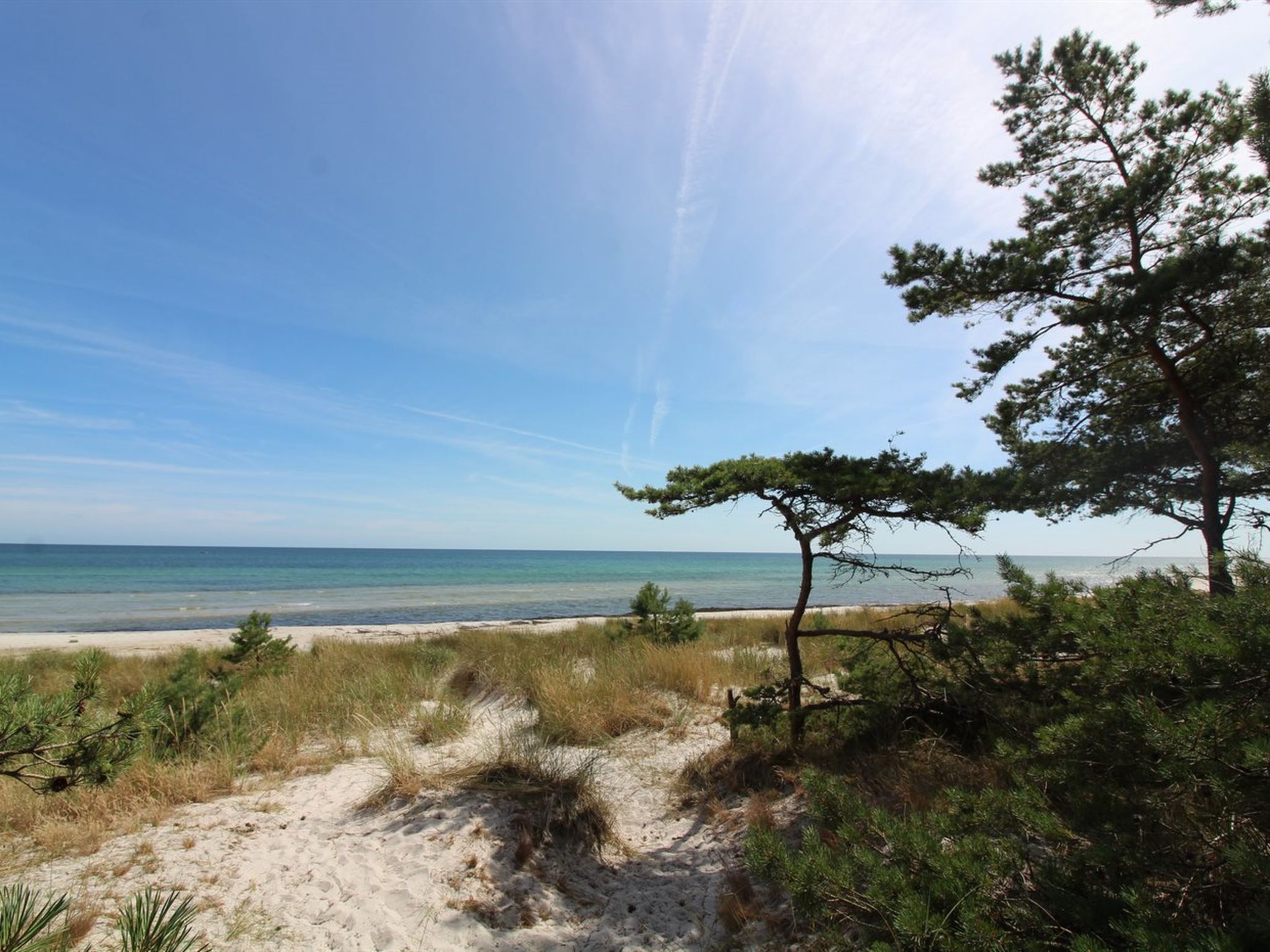 "Clementine" - 1.2km from the sea - Buiten