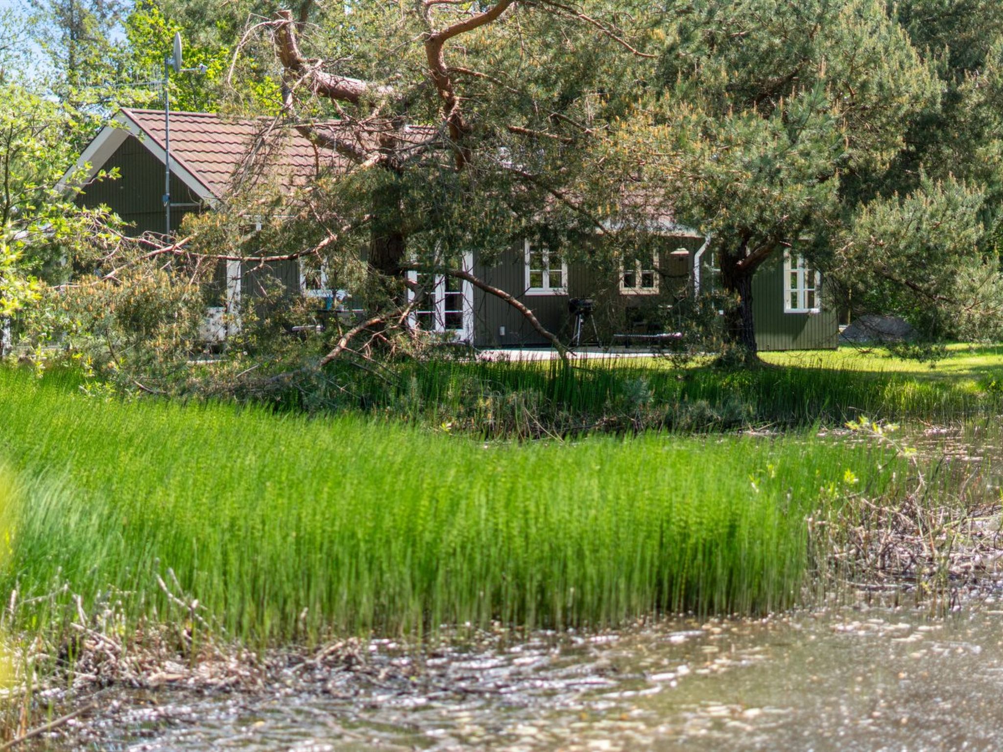 "Smilla" - 300m from the sea - Dehors