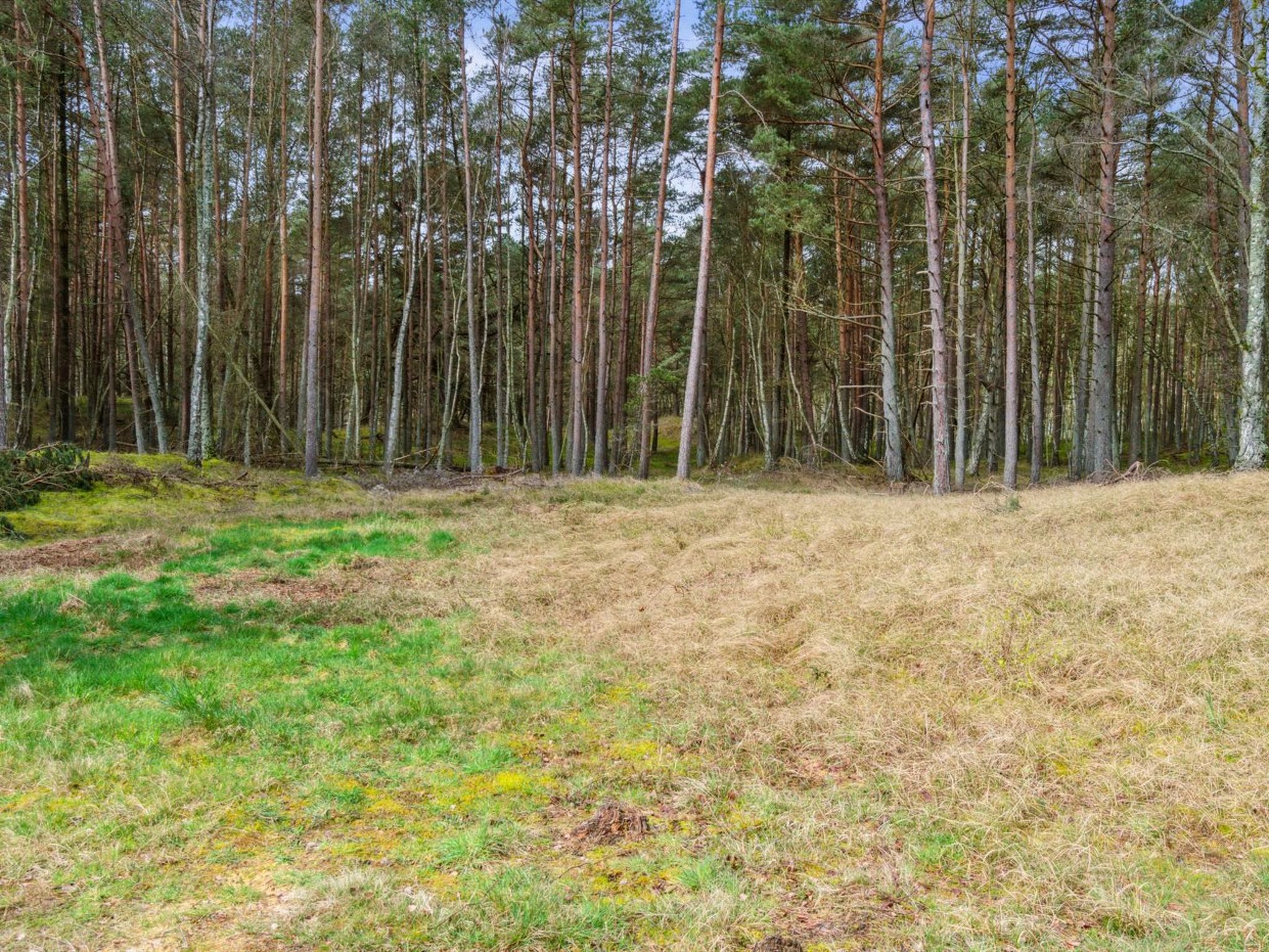 "Awa" - 800m from the sea - Draußen