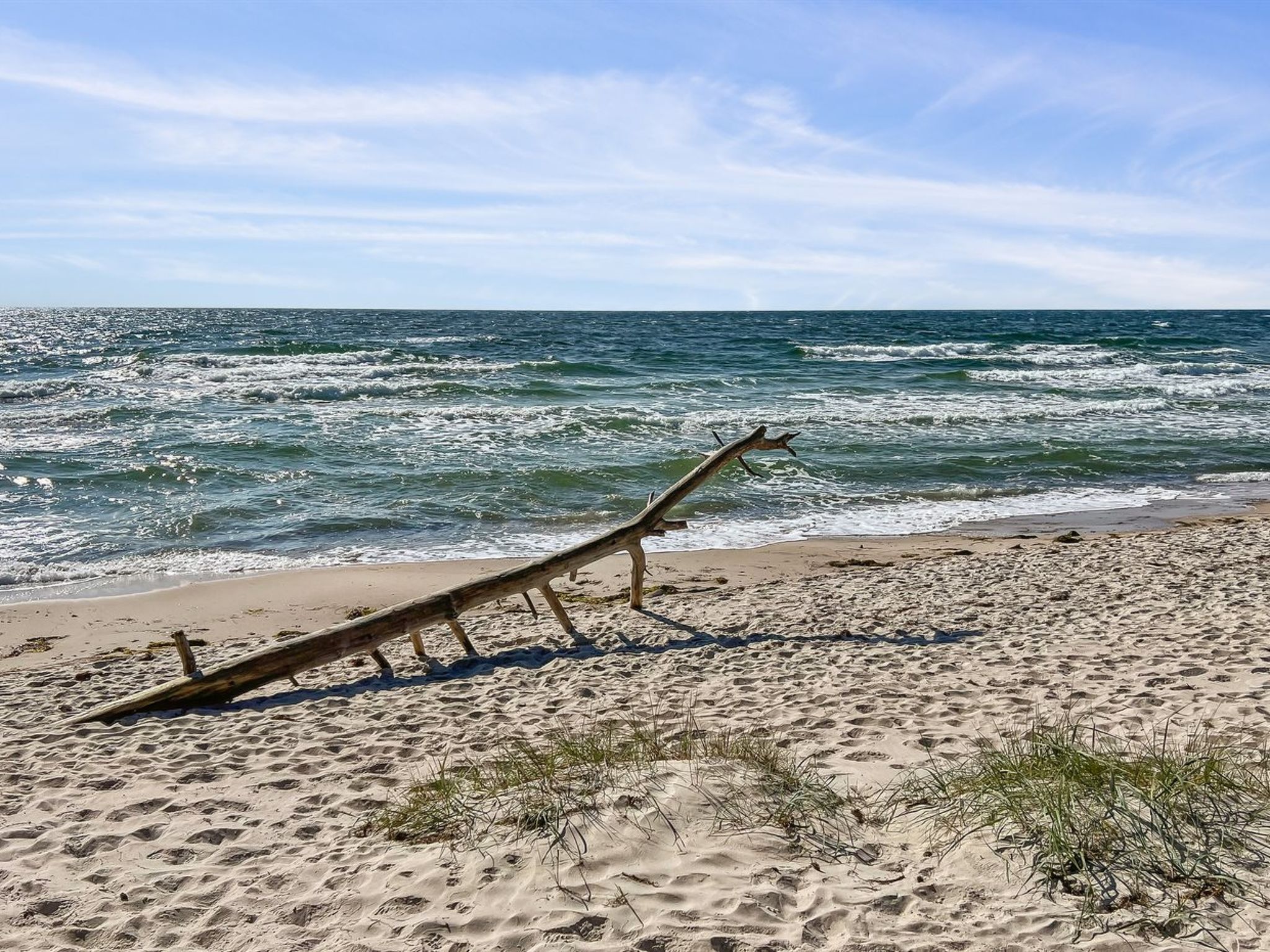 "Freija" - 800m from the sea