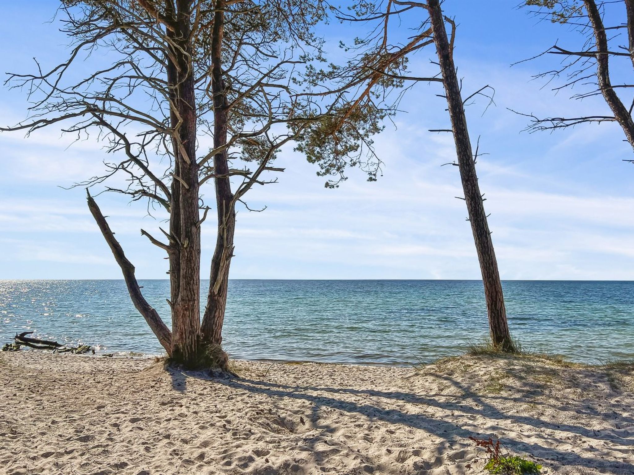 "Freija" - 800m from the sea