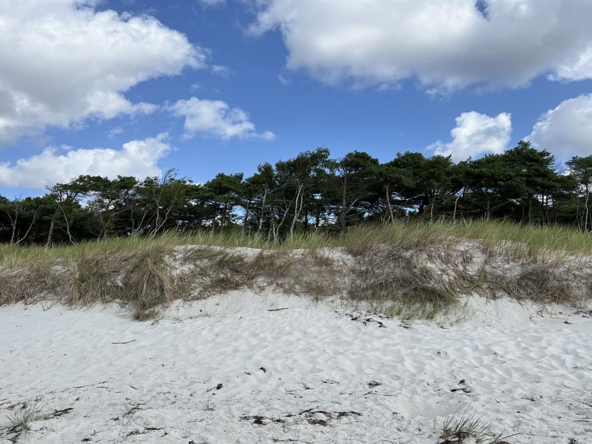 "Sonya" - 350m from the sea - Draußen