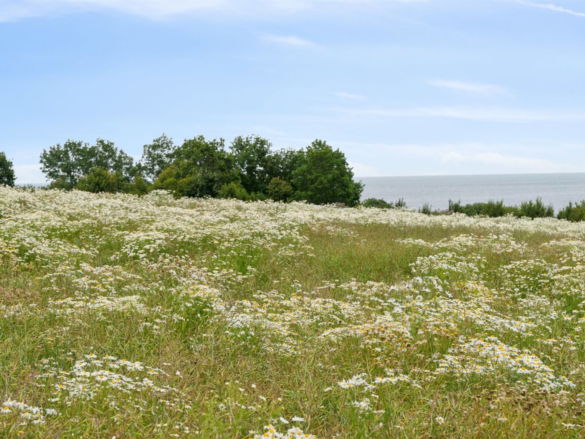 "Ejna" - 400m from the sea-Buiten
