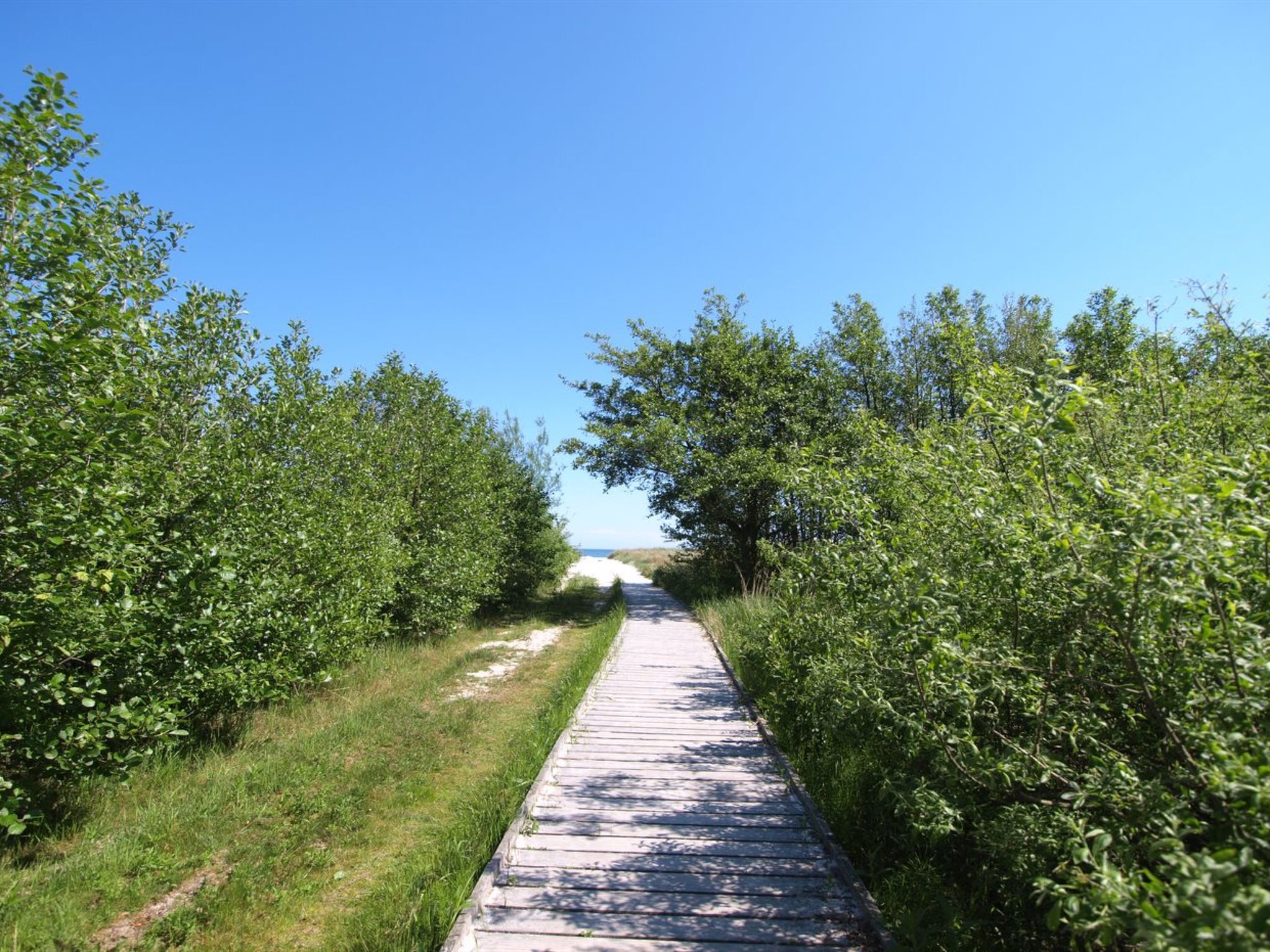 "Amaru" - 500m from the sea - Dehors