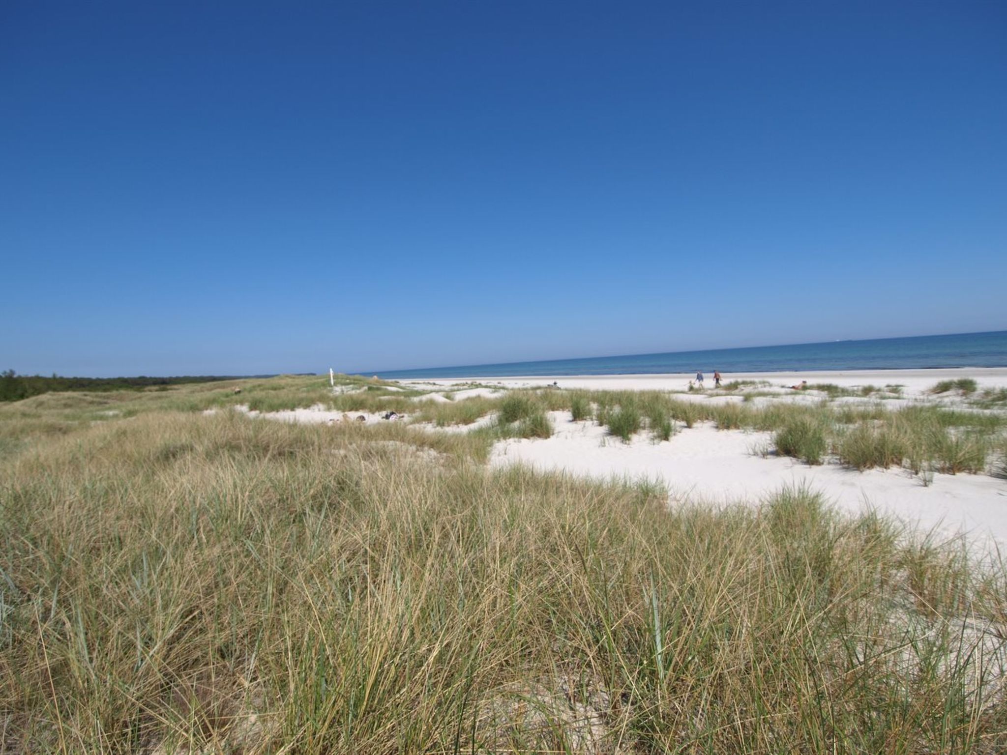 "Amaru" - 500m from the sea - Dehors