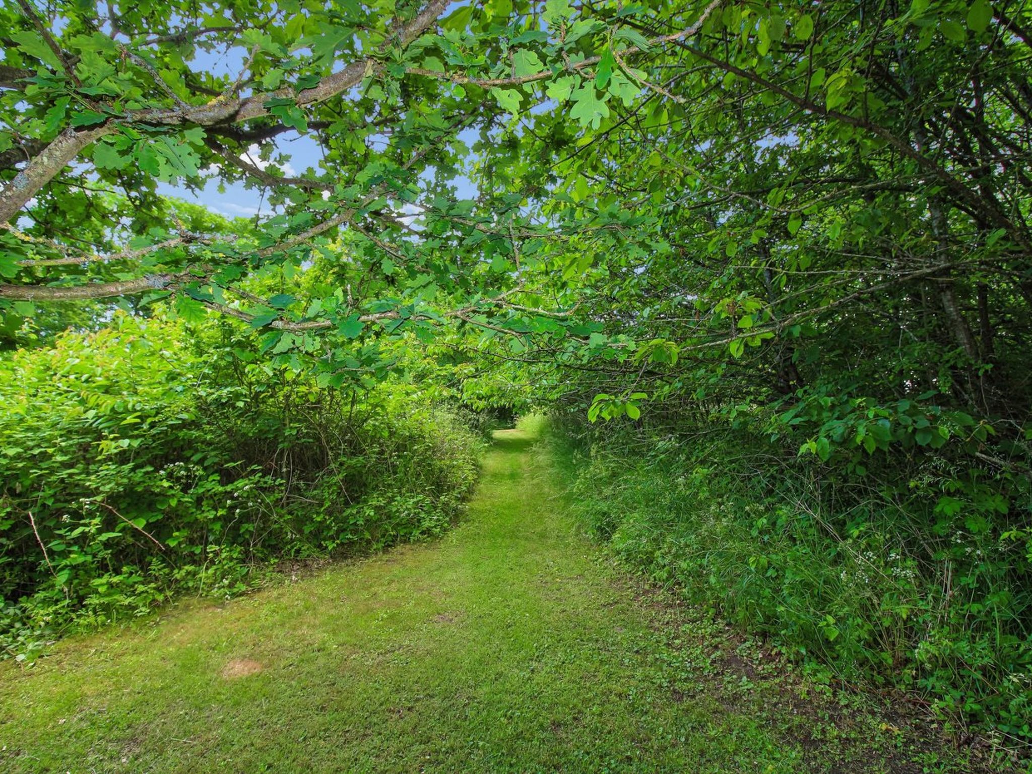 Place