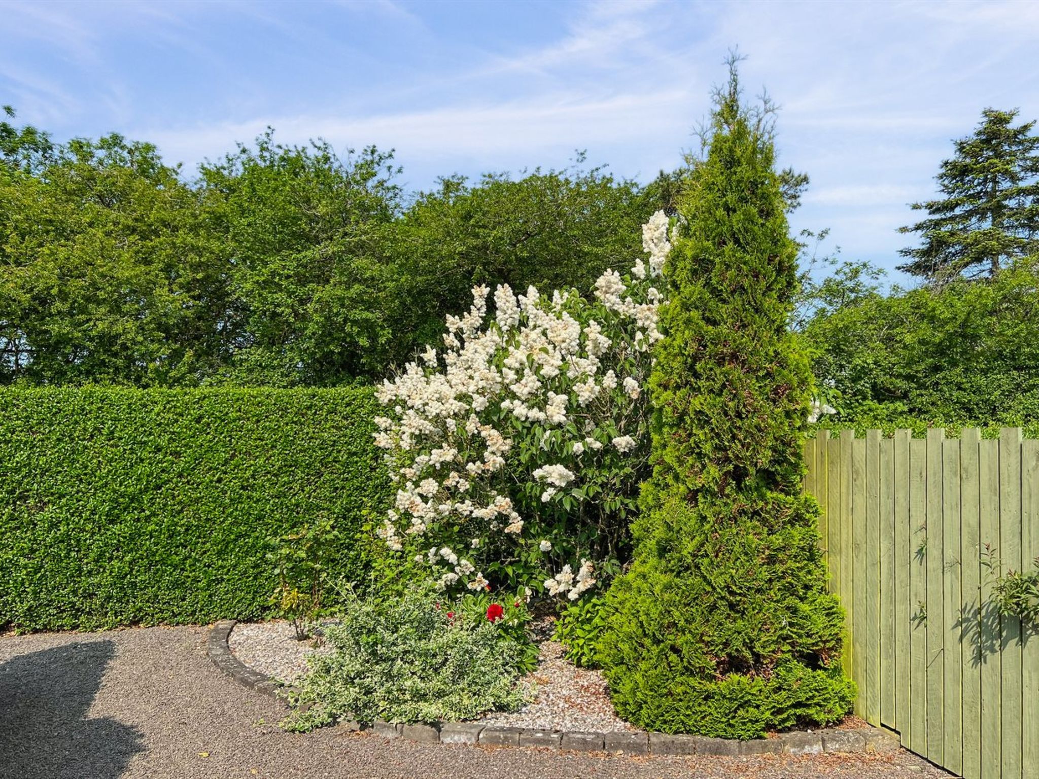 "Dreng" - 250m from the sea-Buiten