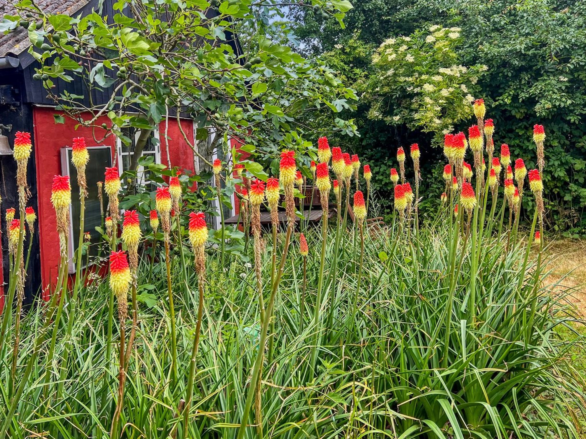 "Virpi" - 8km from the sea - Buiten