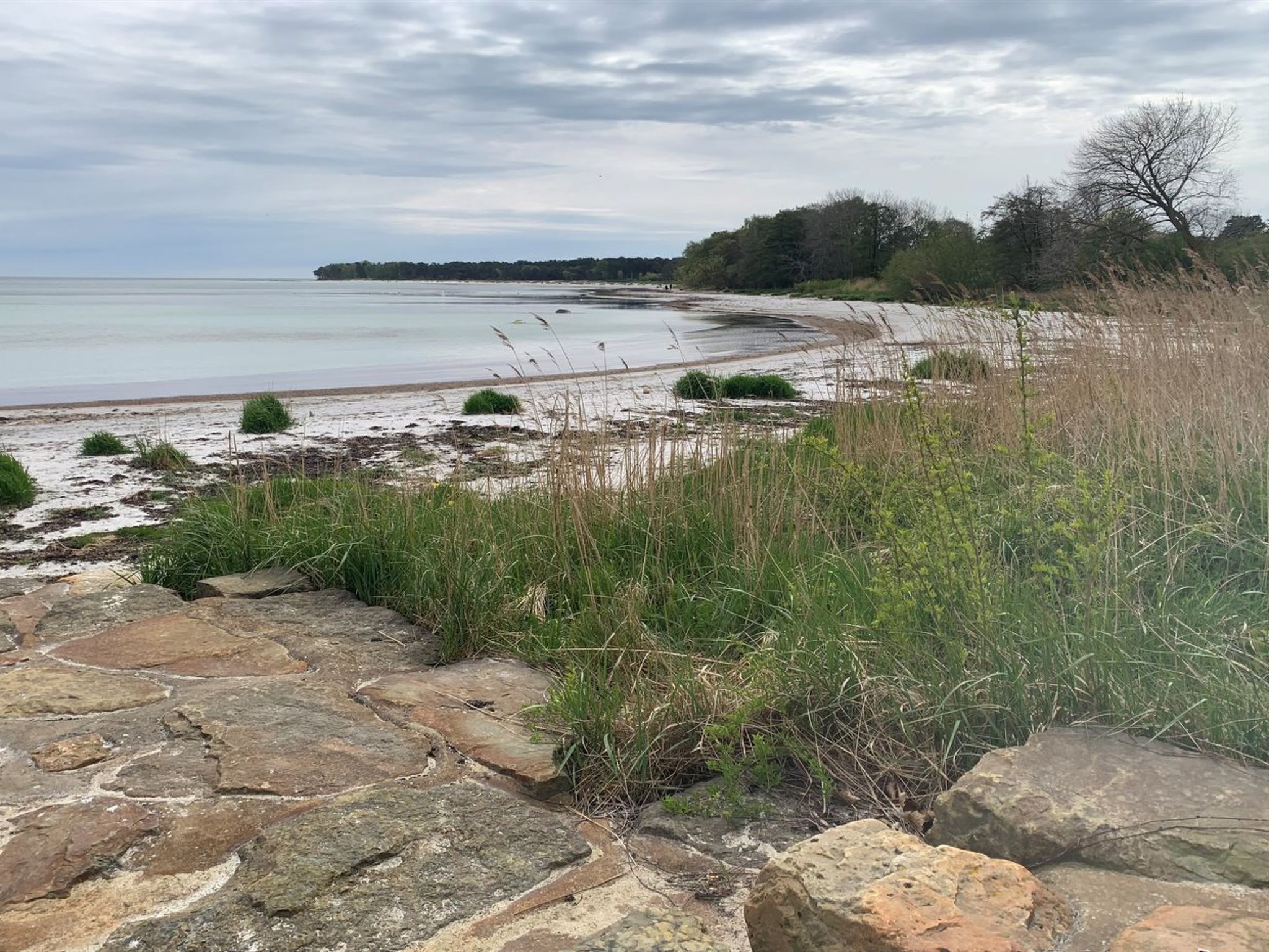 "Hildegunda" - 280m from the sea - Buiten