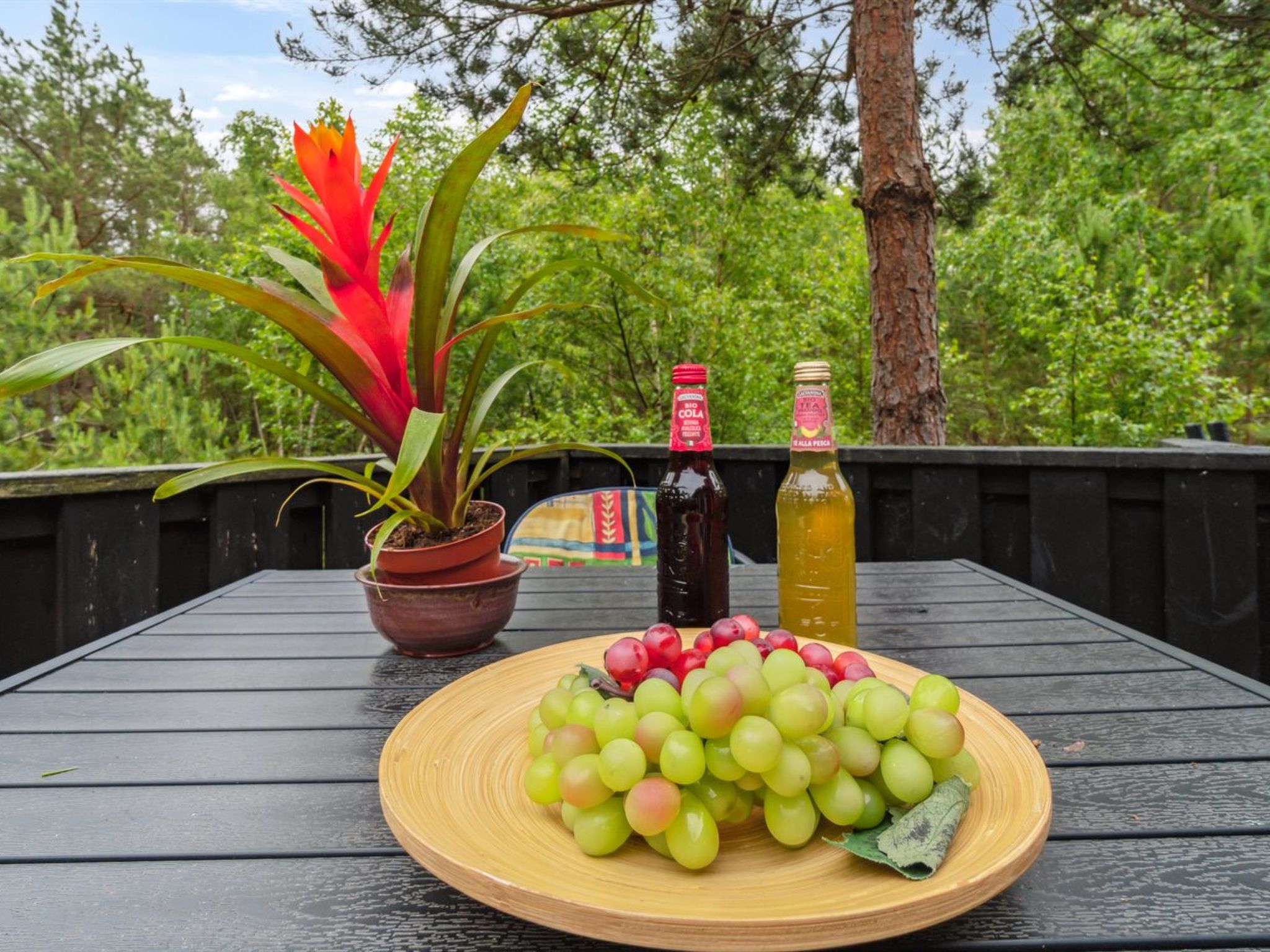 "Huanca" - 500m from the sea - Outside
