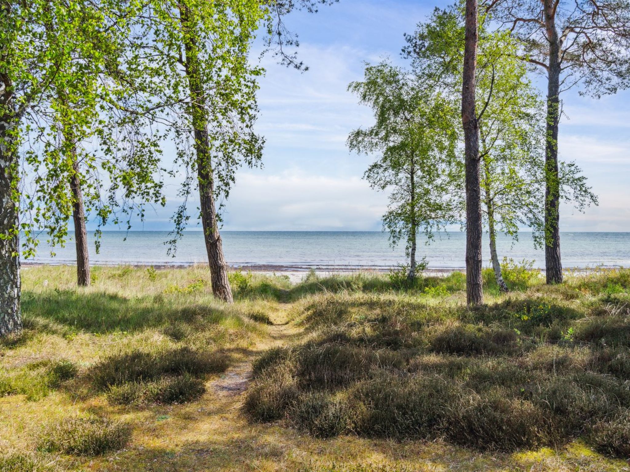"Liska" - 60m from the sea
