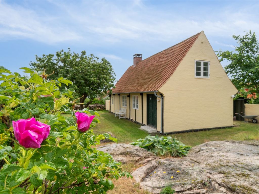 Vakantiehuis Øde in Denemarken