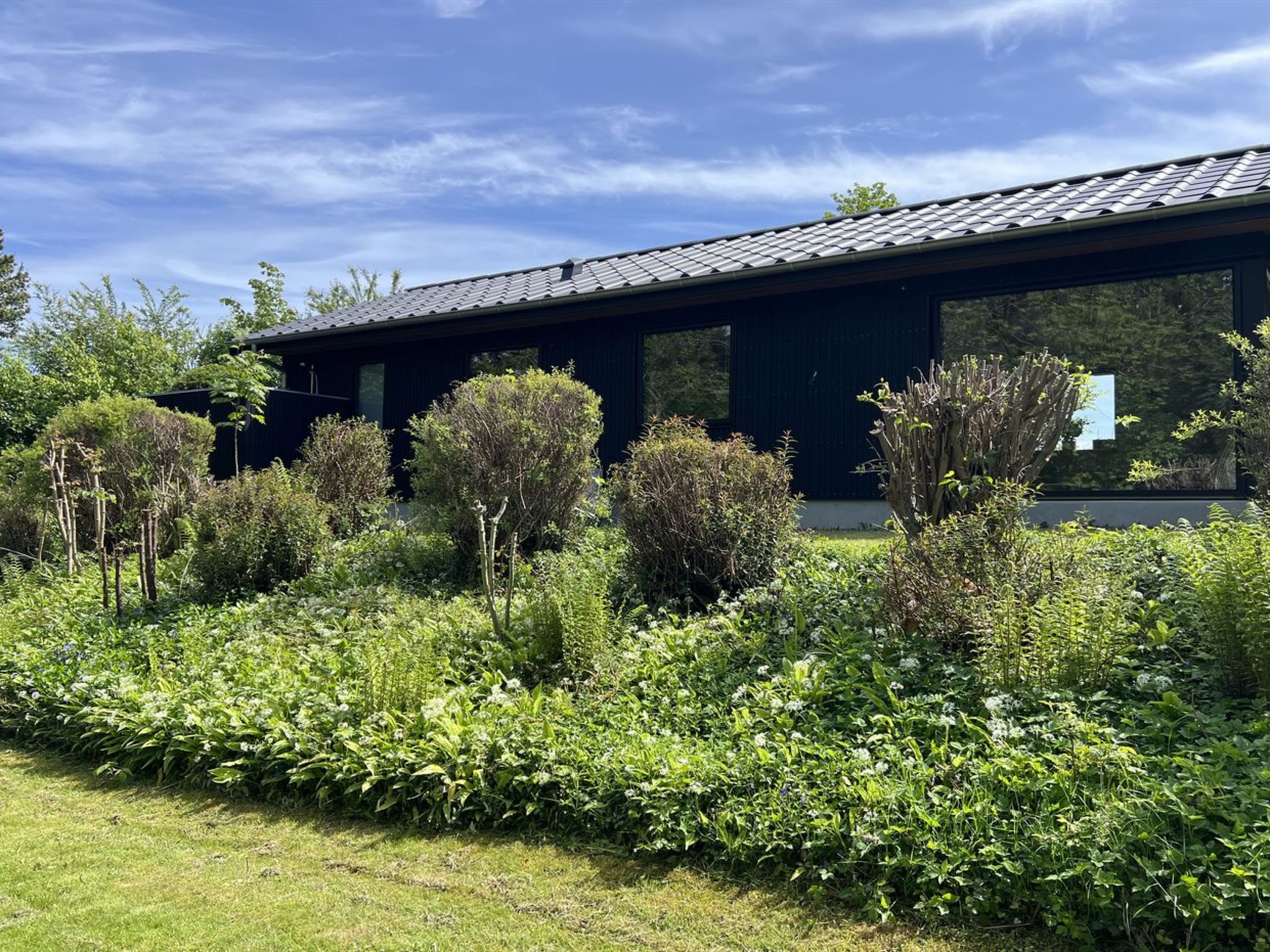 "Radica" - 400m from the sea - Buiten