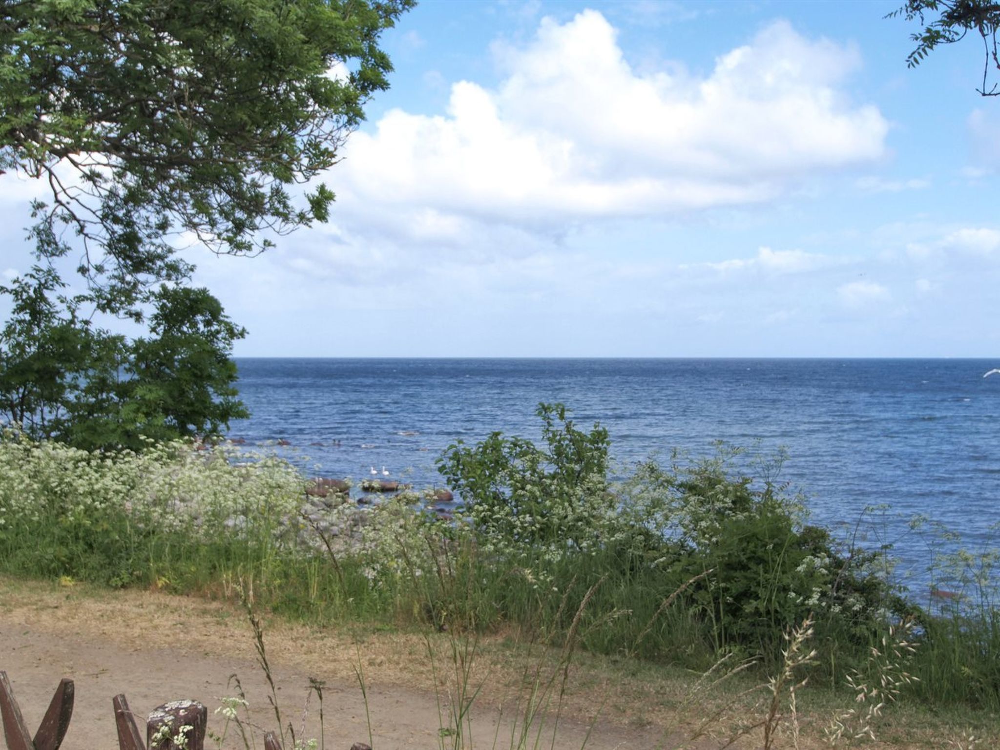 "Zina" - 25m from the sea - Draußen