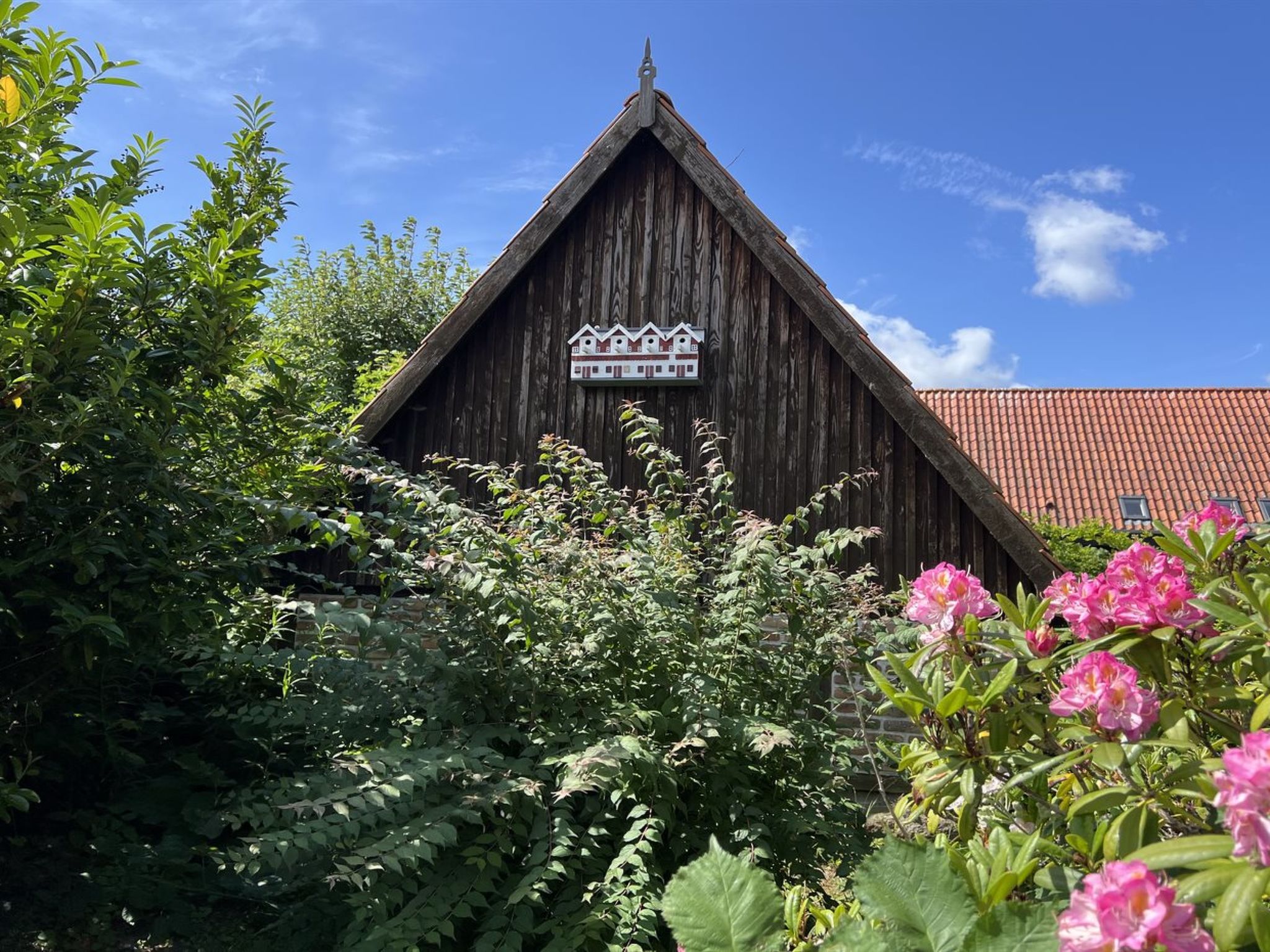 "Skyler" - 250m from the sea - Buiten