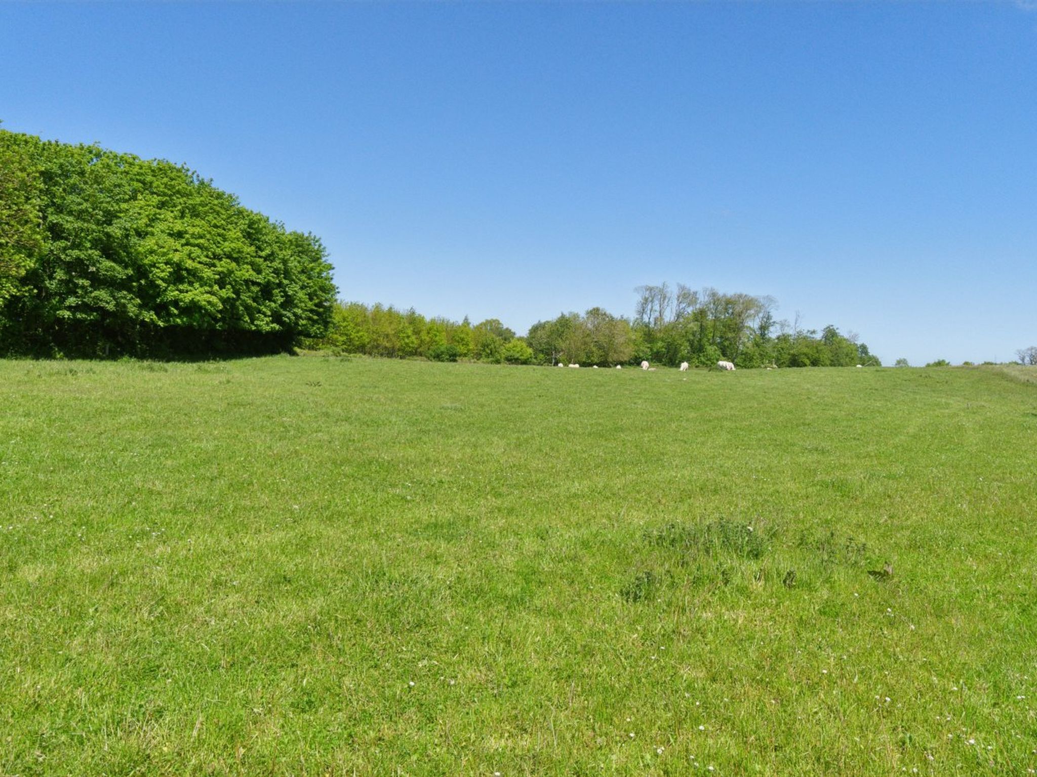 "Aarni" - 6.5km from the sea