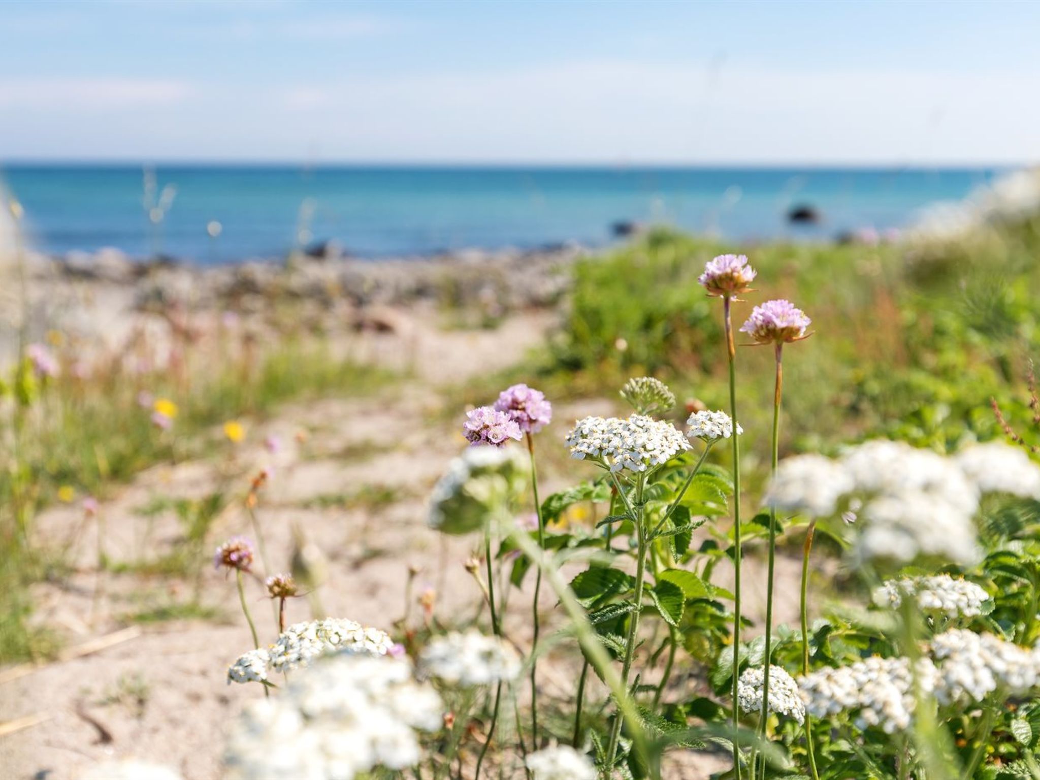 "Gjuro" - 50m from the sea - Draußen