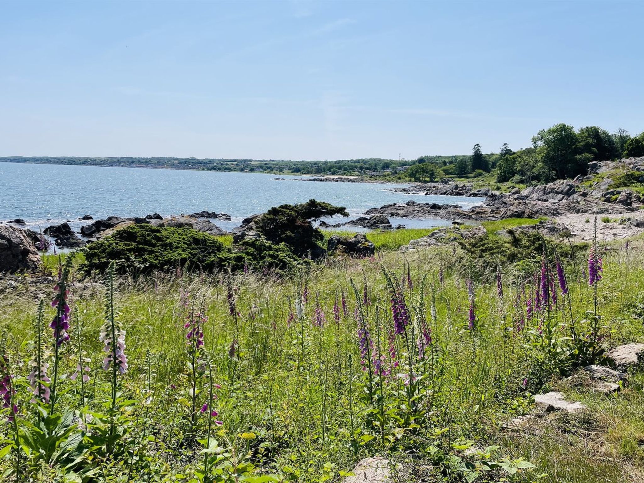 "Gunhilde" - 400m from the sea-Buiten