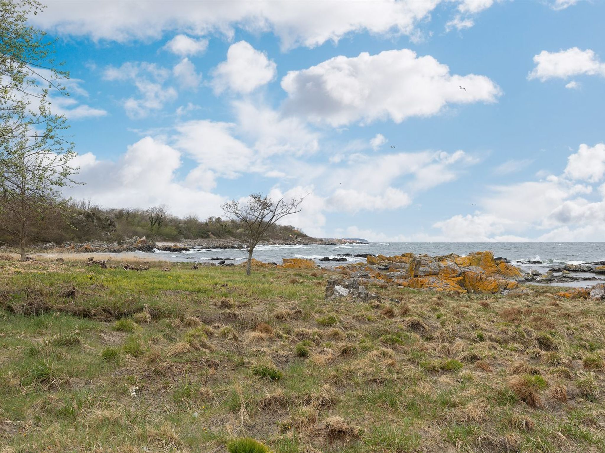 "Ensio" - 150m from the sea - Outside