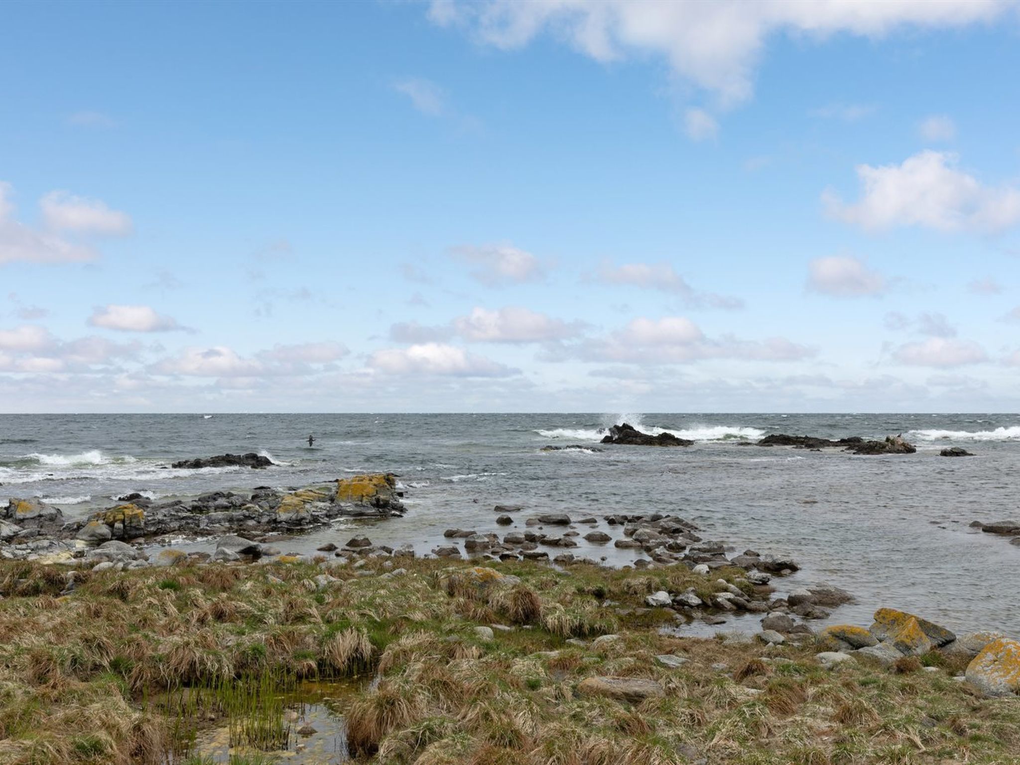 "Ensio" - 150m from the sea - Outside