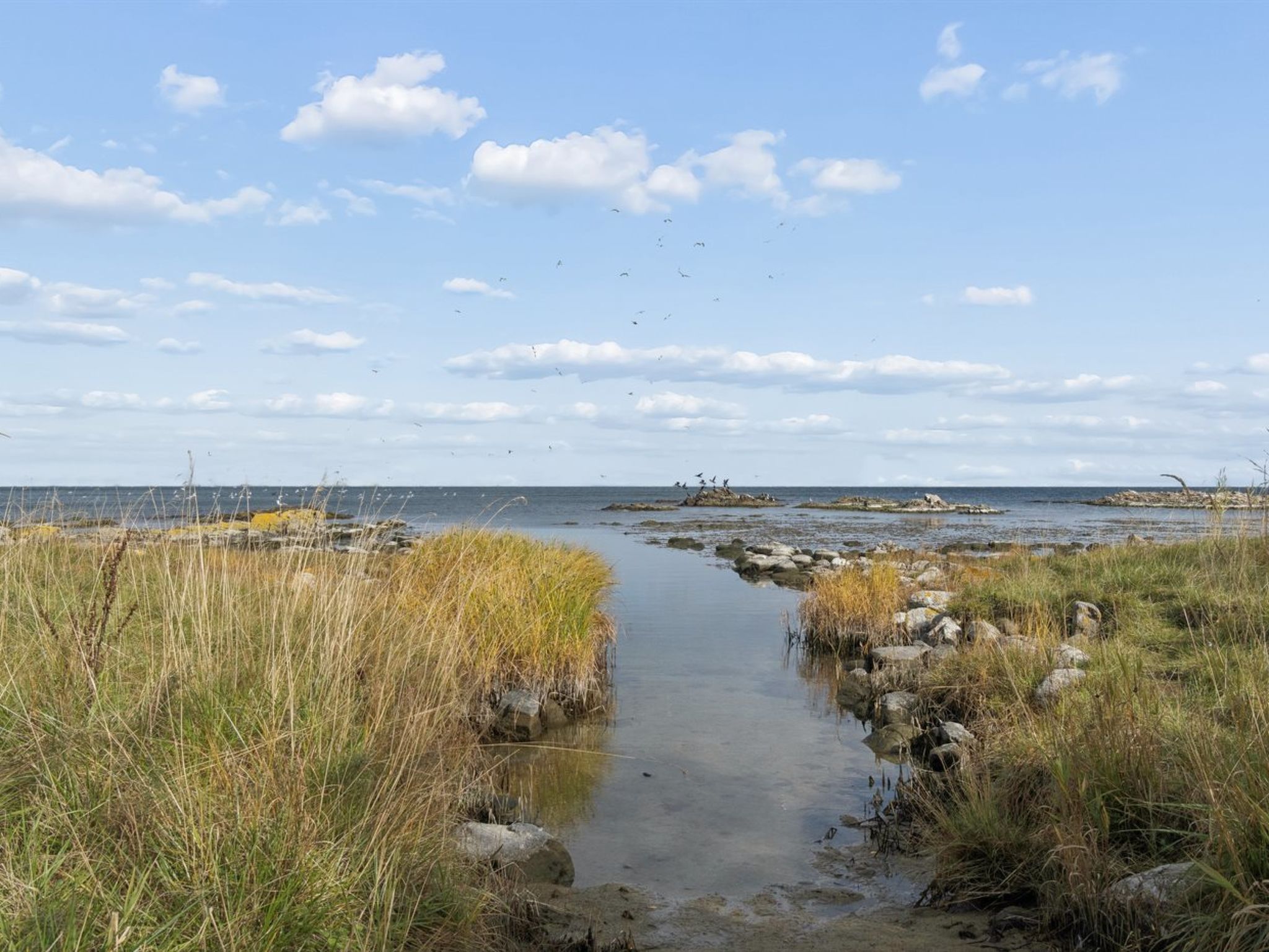 "Ensio" - 150m from the sea - Dehors