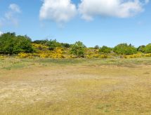 "Alea" - 200m from the sea