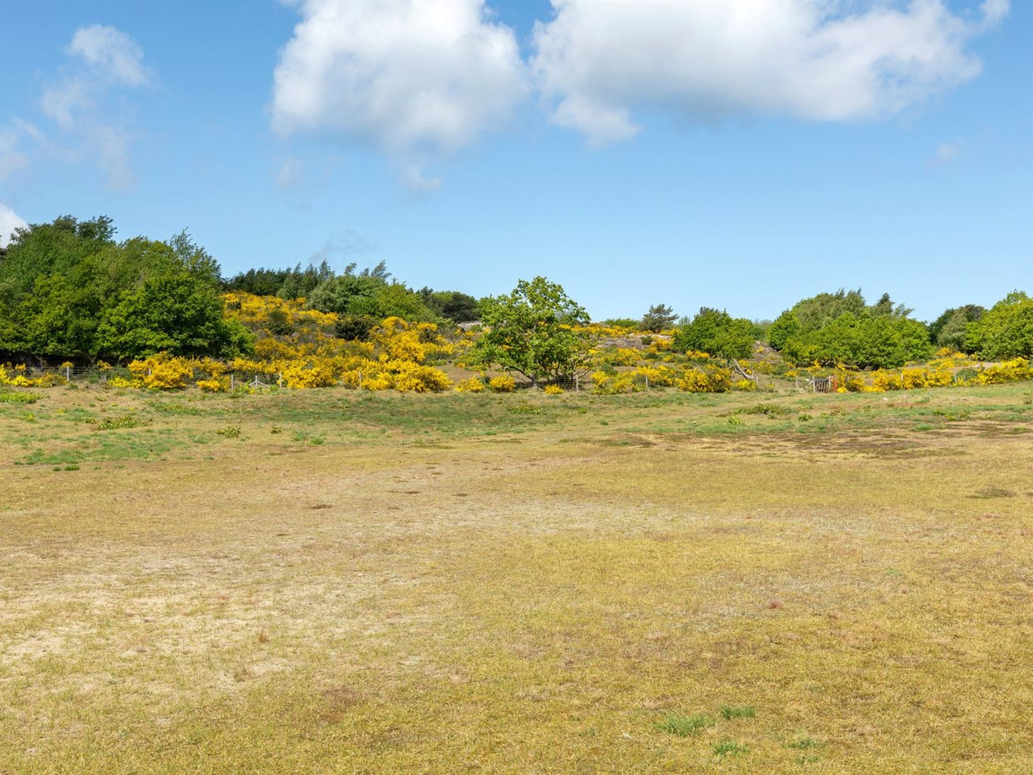 "Alea" - 200m from the sea - Dehors