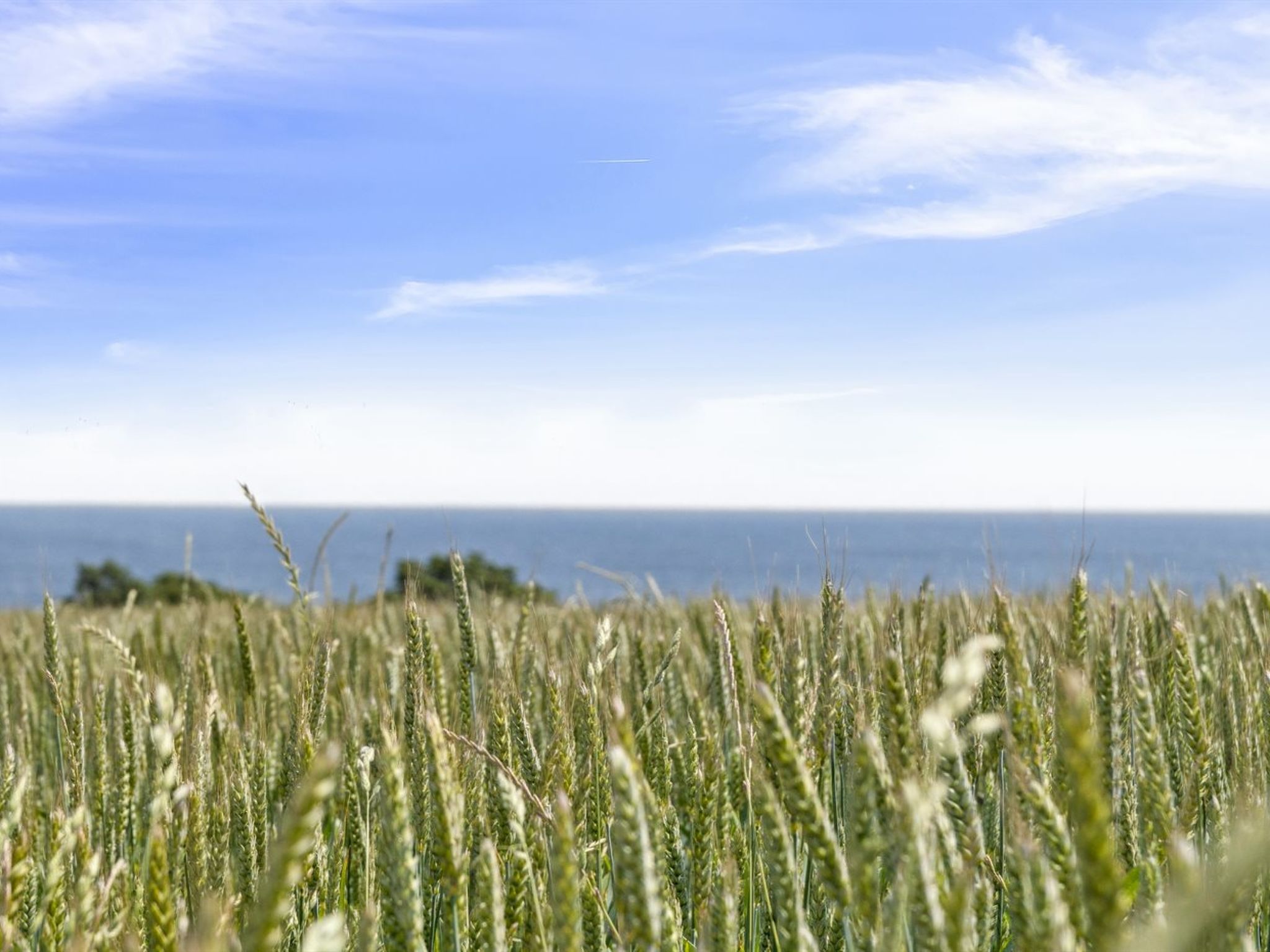 "Steffi" - 300m from the sea - Dehors