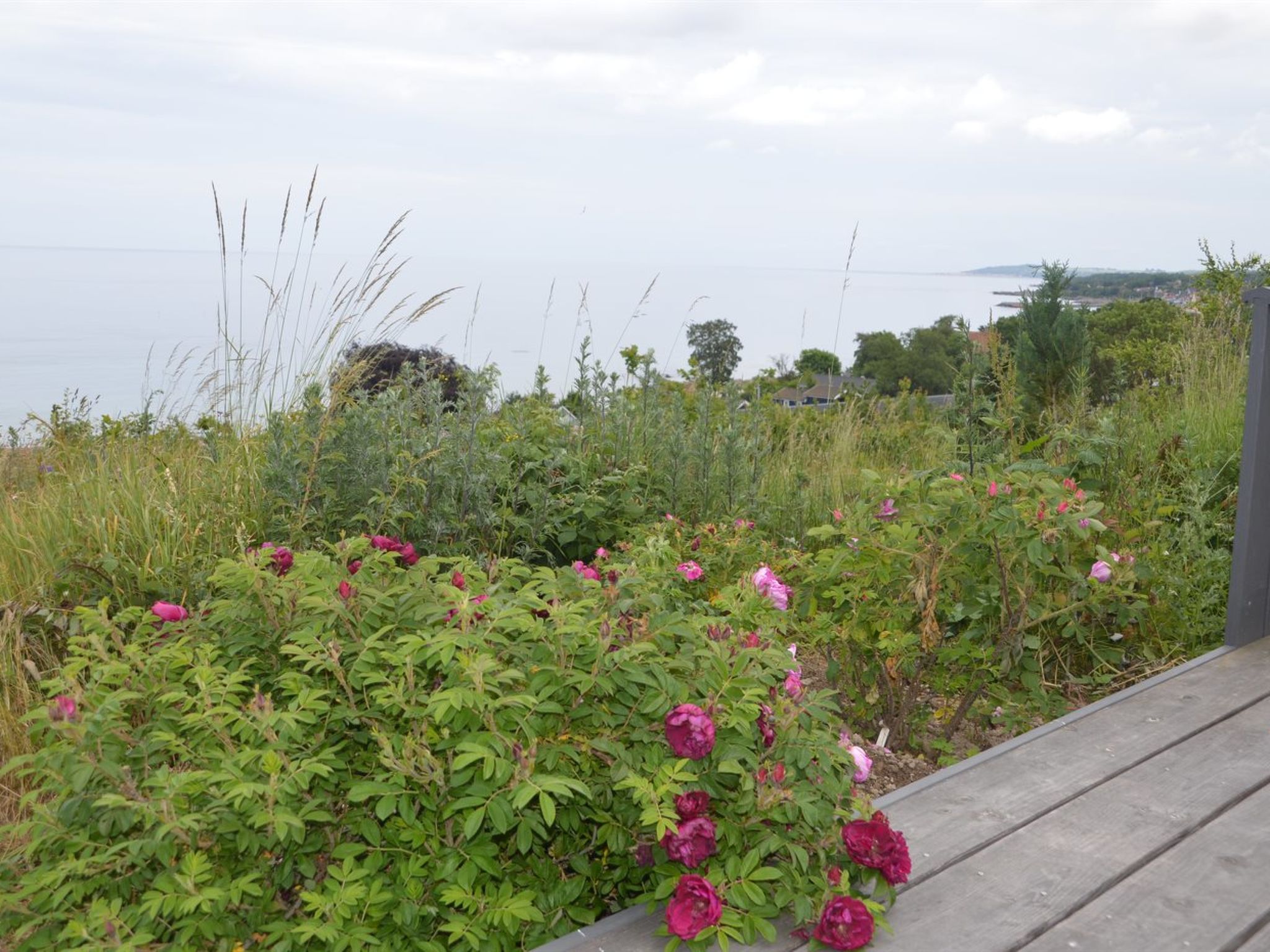 "Seetje" - 200m from the sea
