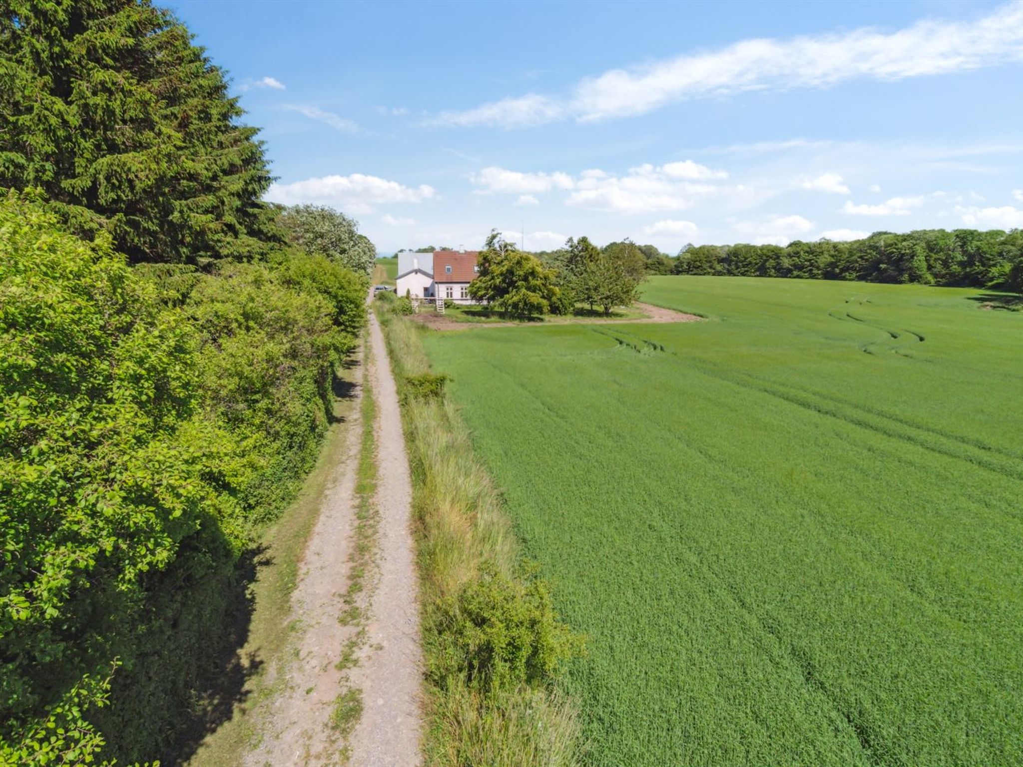 "Antonina" - 800m from the sea-Buiten