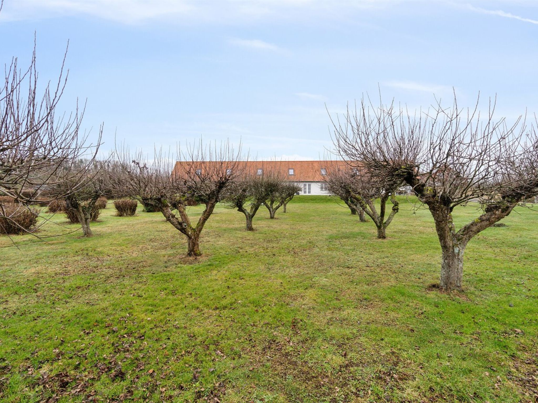 "Markus" - 300m from the sea - Dehors