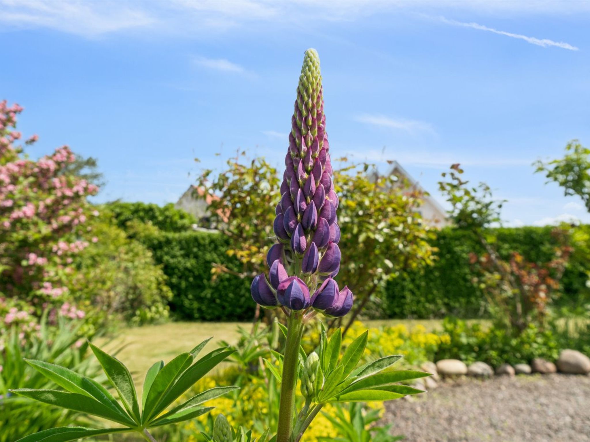 "Keld" - 350m from the sea - Outside