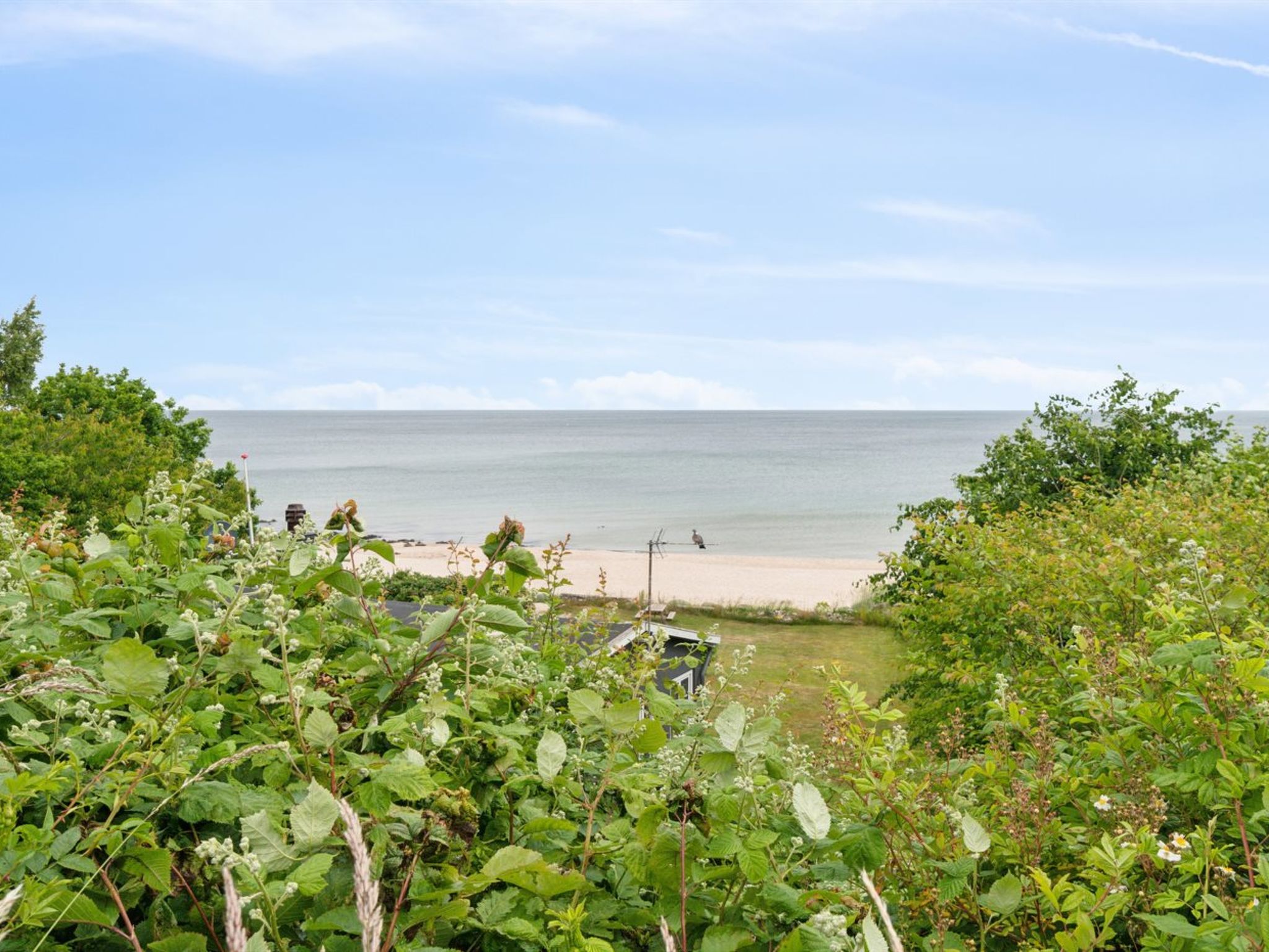 "Ømund" - 100m from the sea - Buiten