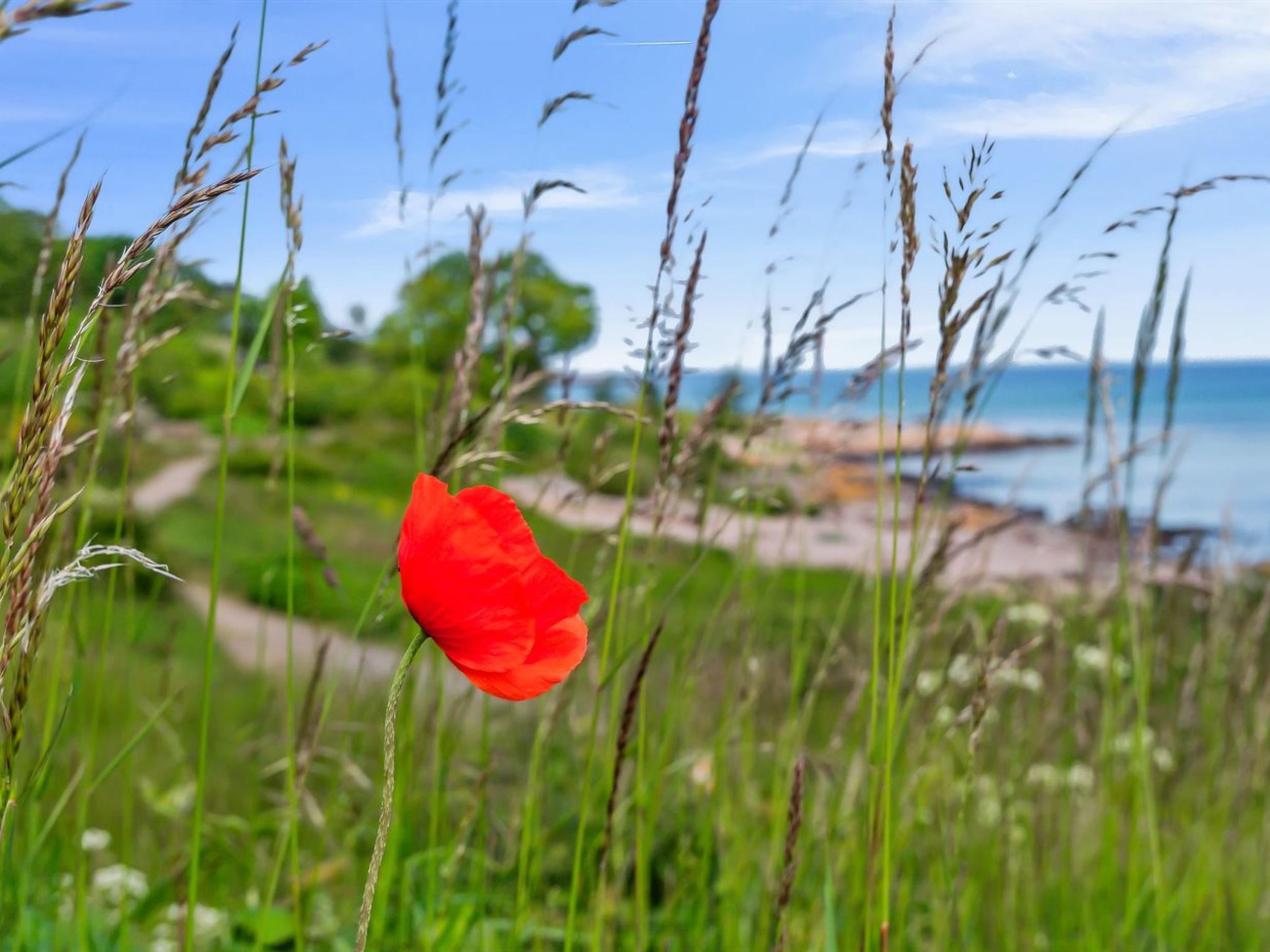 "Yosefin" - 50m from the sea-Draußen