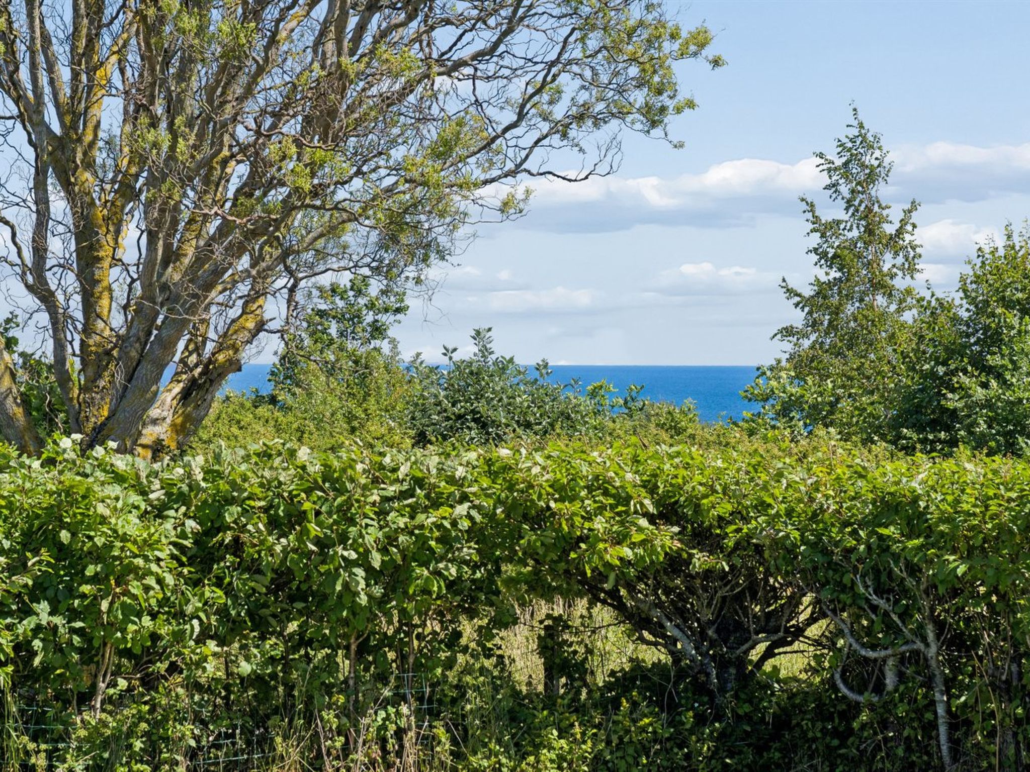 "Karlotta" - 500m from the sea - Draußen