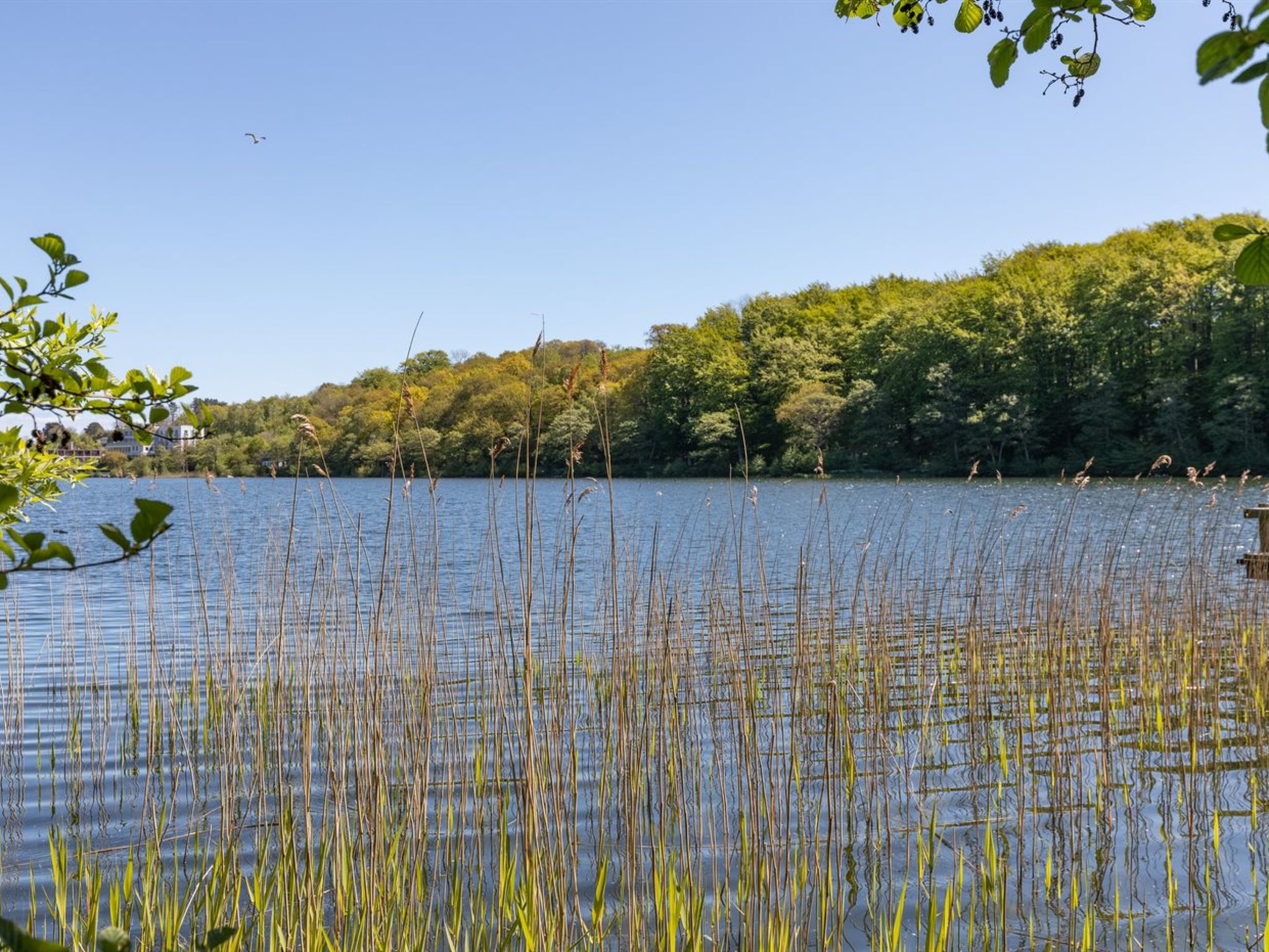 "Karlotta" - 500m from the sea-Dehors