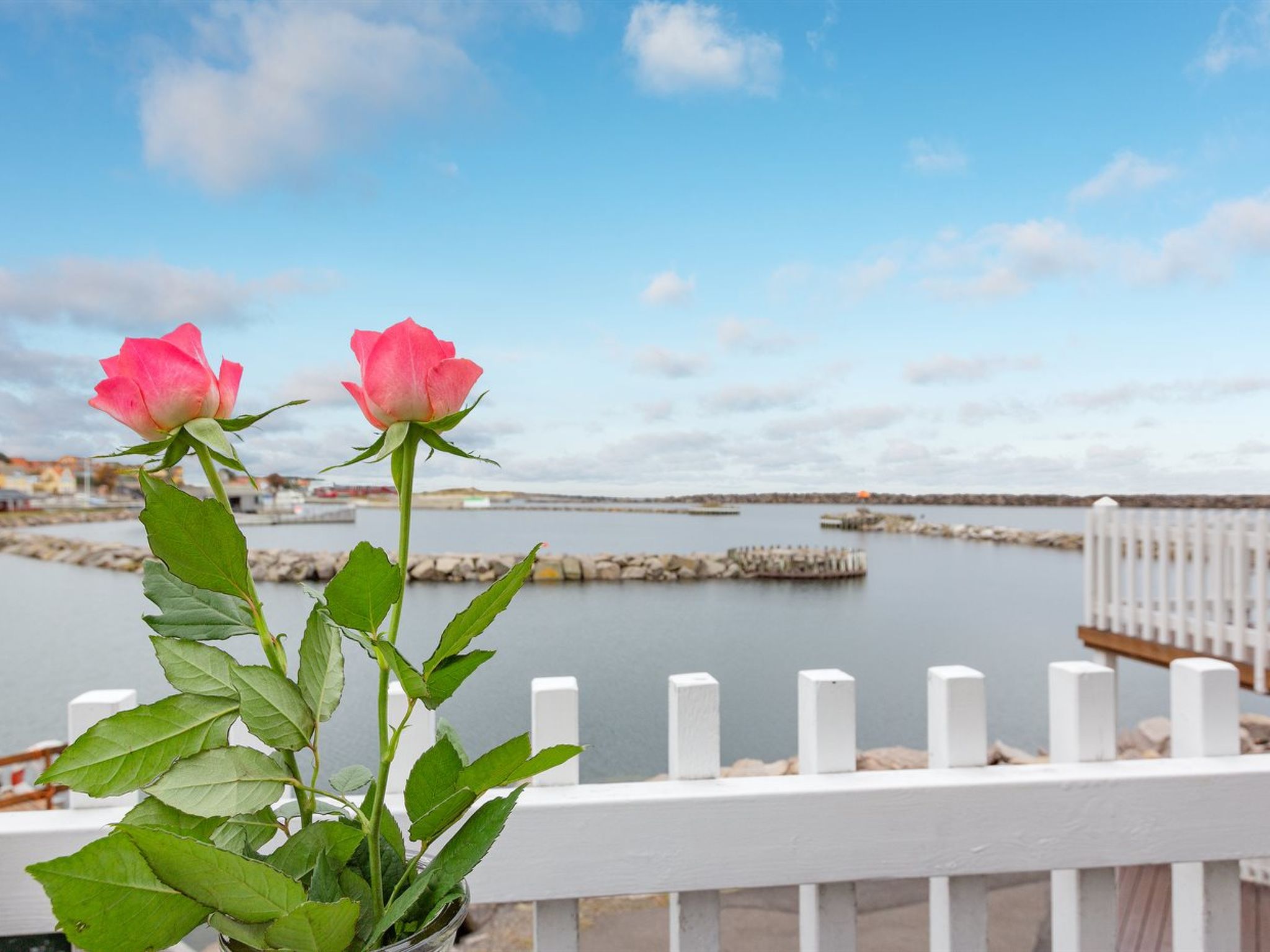 "Fridhild" - 10m from the sea — Terrace (3 of 32)