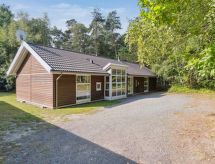 Ruime vakantiewoning met sauna op 600 meter van de zee in Hasle - thumbnail 3