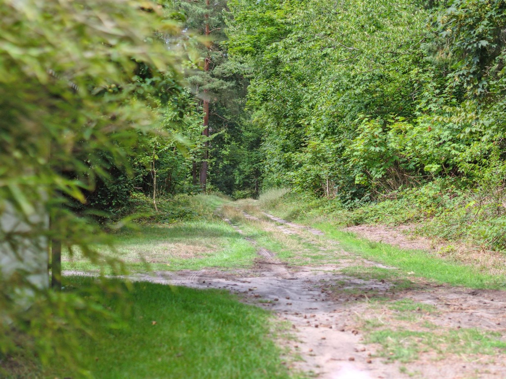 "Rina" - 250m from the sea - Draußen