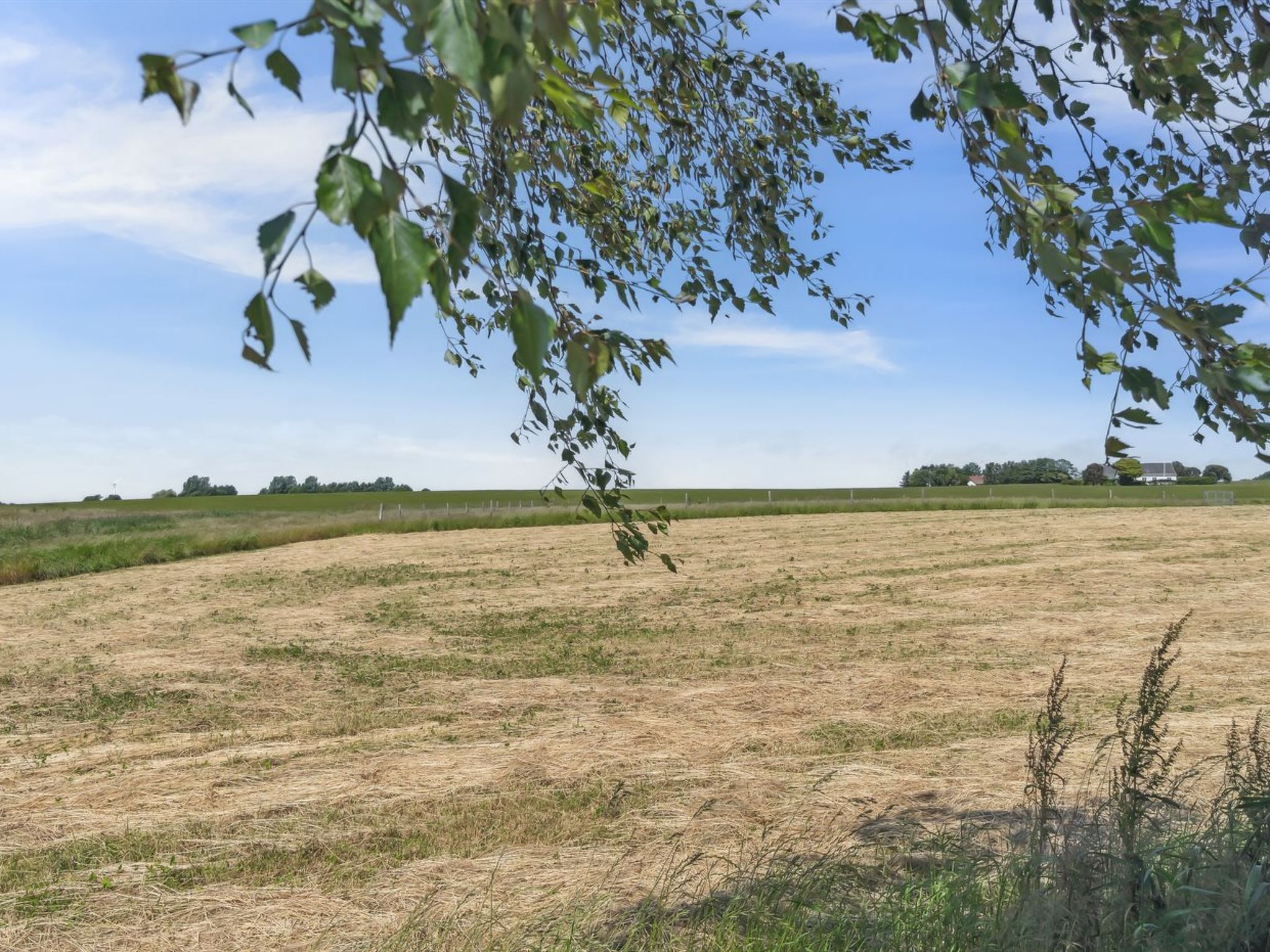 "Lacey" - 4km from the sea - Buiten