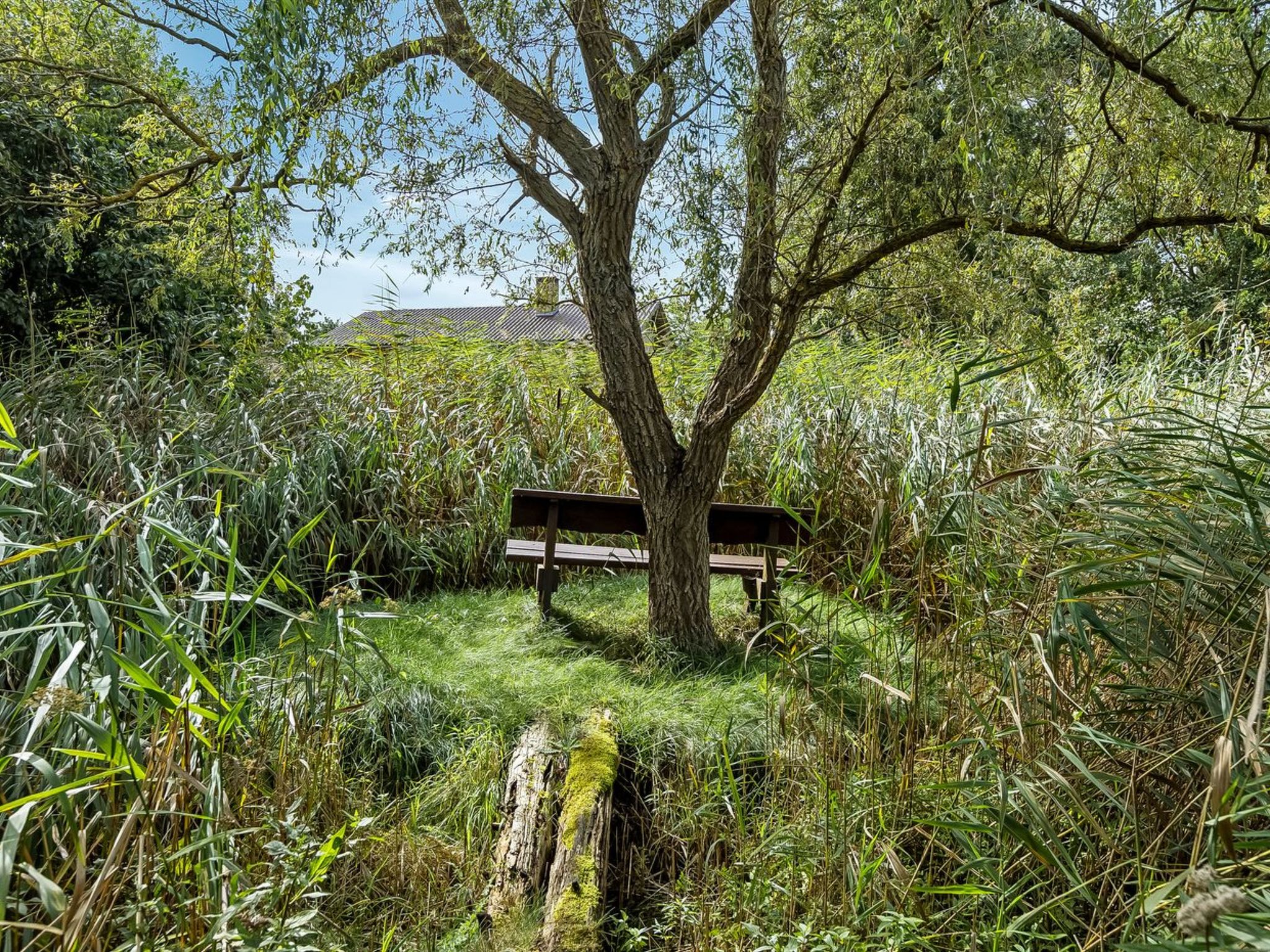 "Svanborg" - 40m from the sea - Draußen
