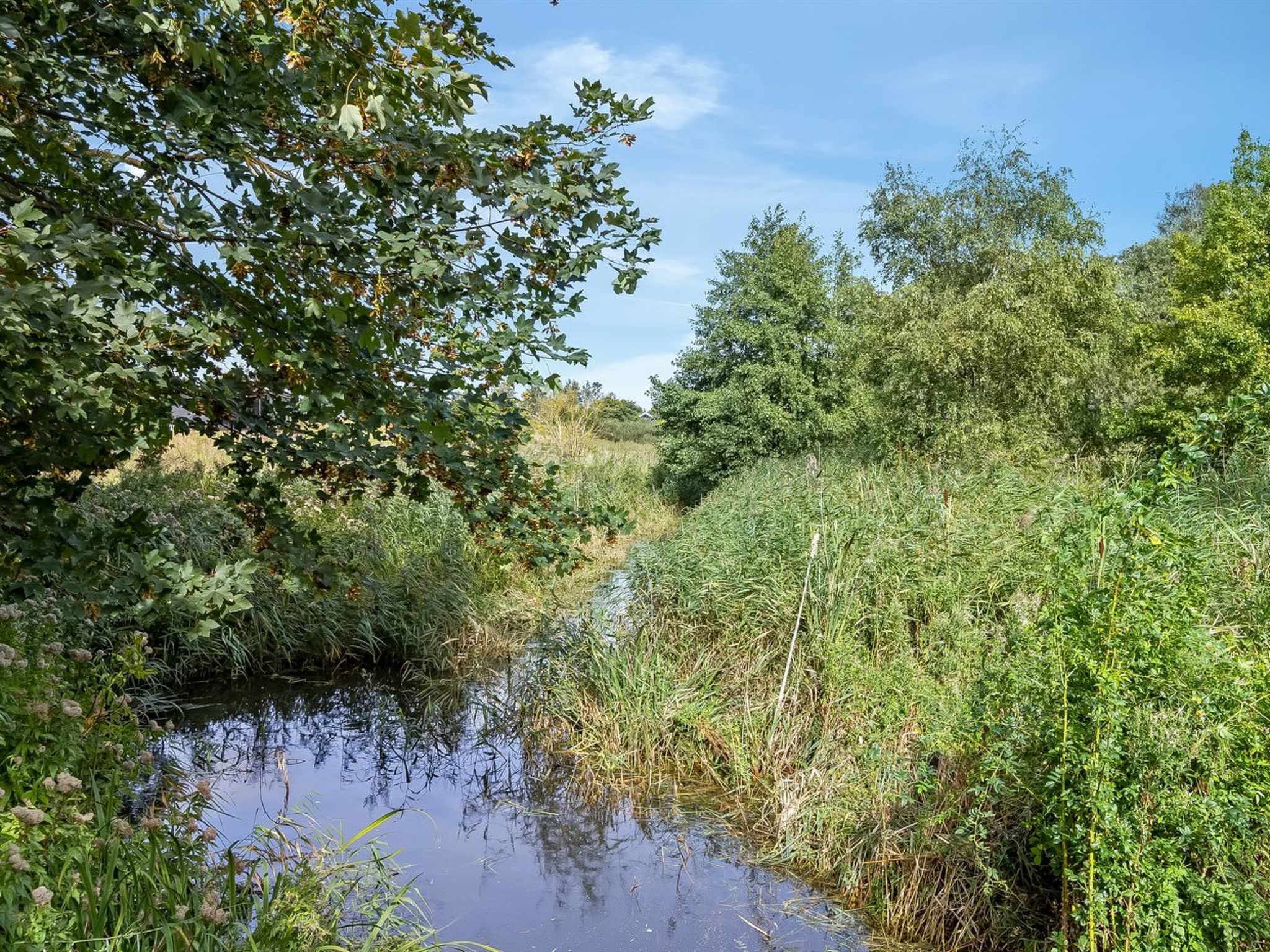 "Svanborg" - 40m from the sea - Draußen