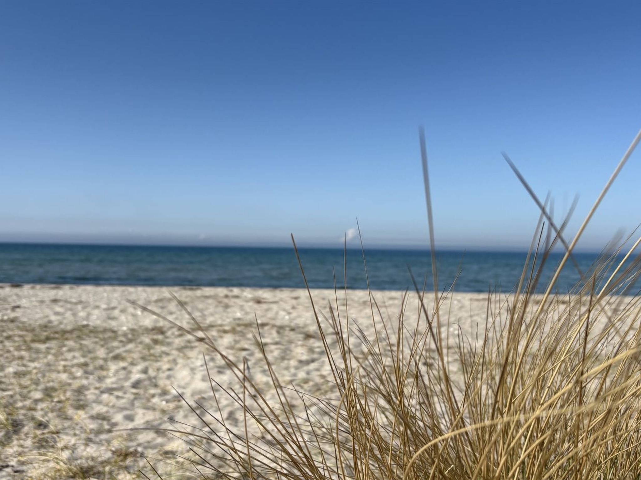 "Holmfridur" - 1.1km from the sea - Buiten