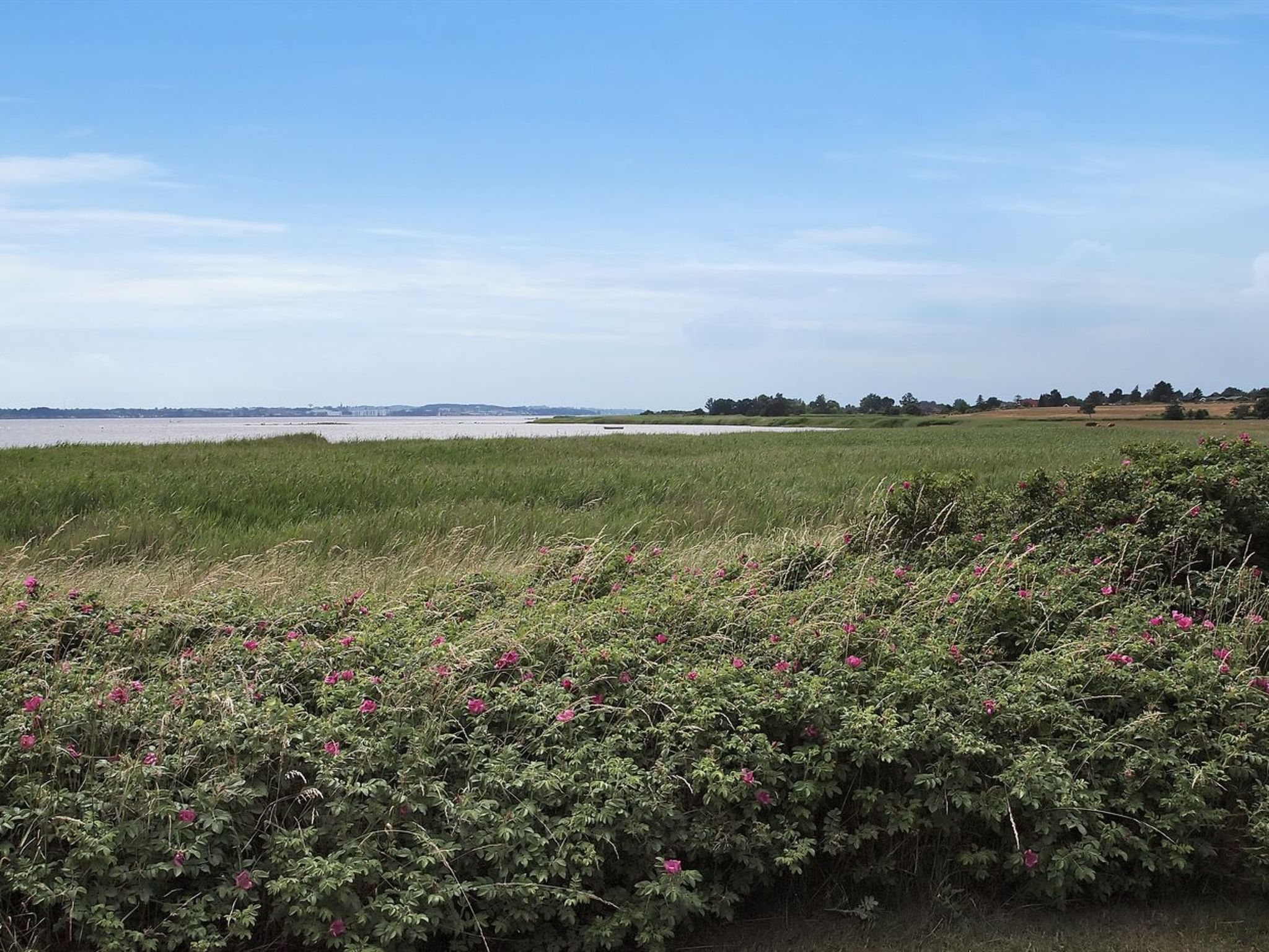 "Jeip" - 400m to the fjord - Buiten