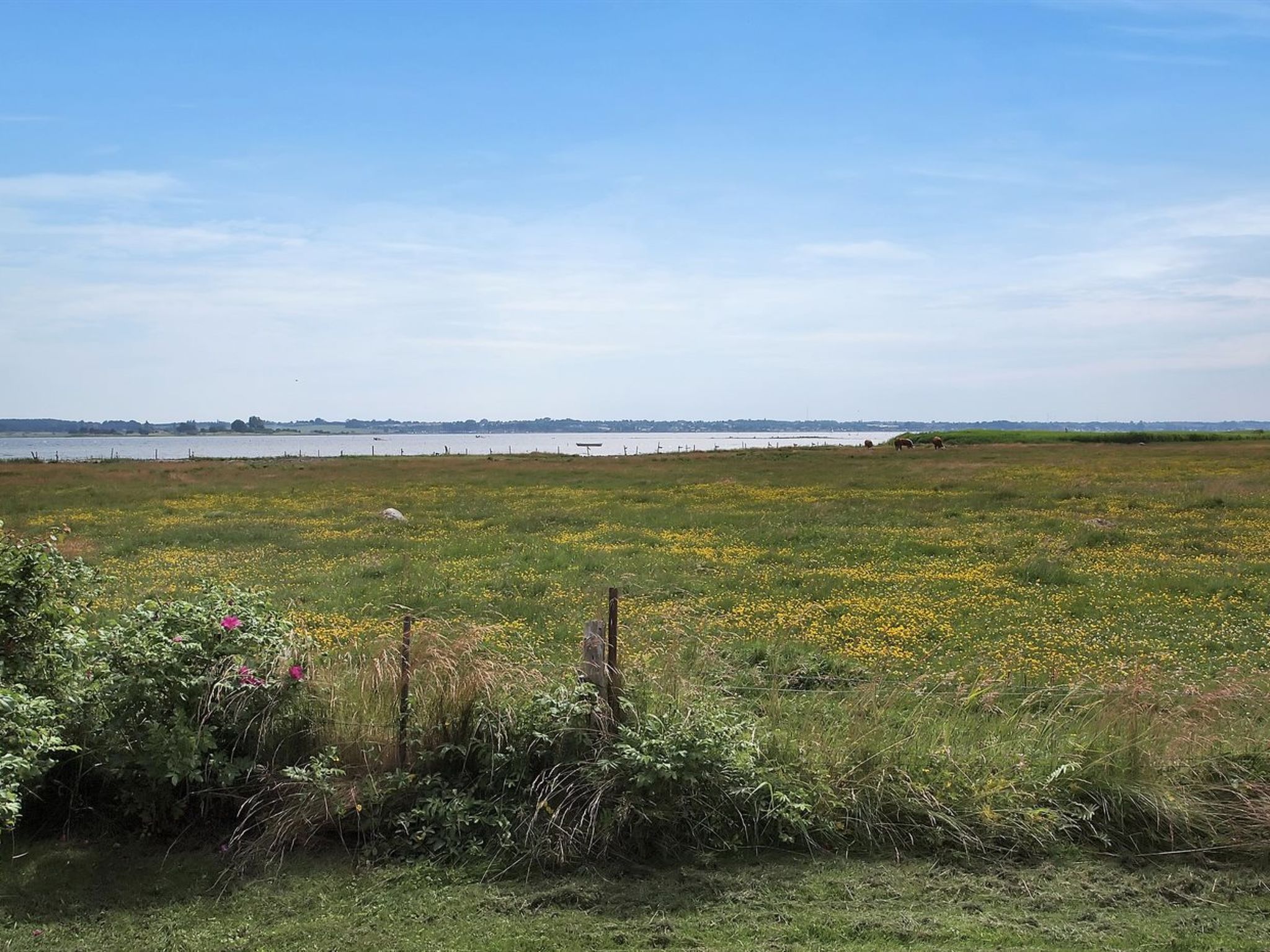 "Jeip" - 400m to the fjord - Buiten