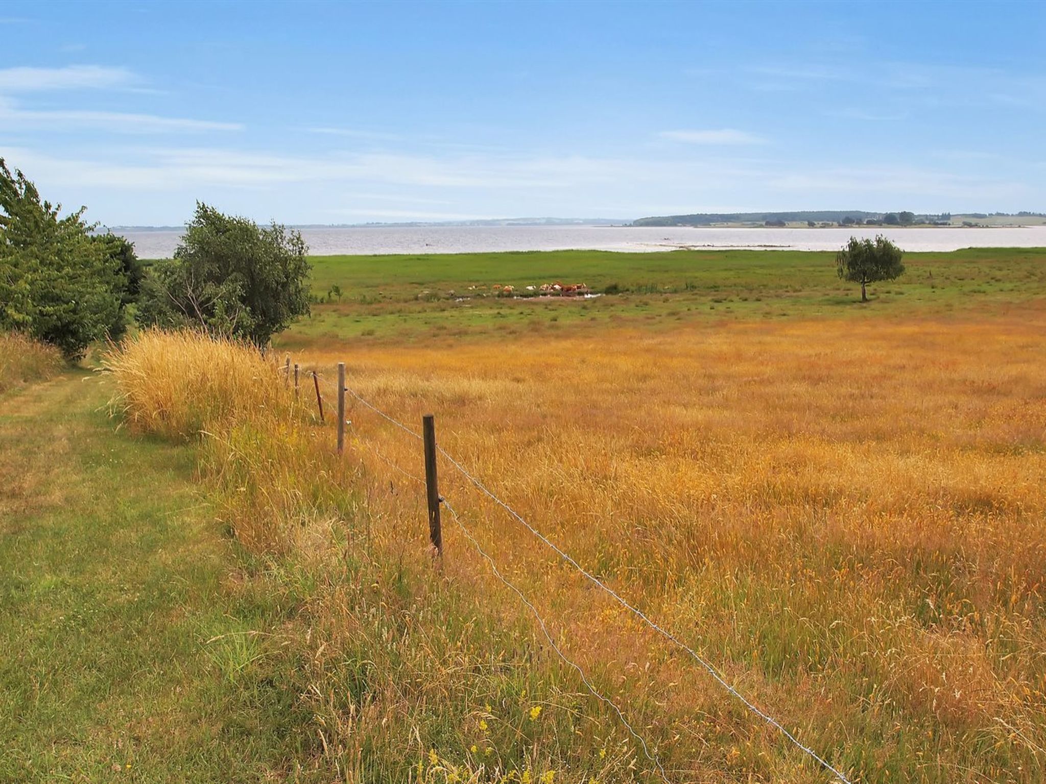 "Jeip" - 400m to the fjord - Buiten