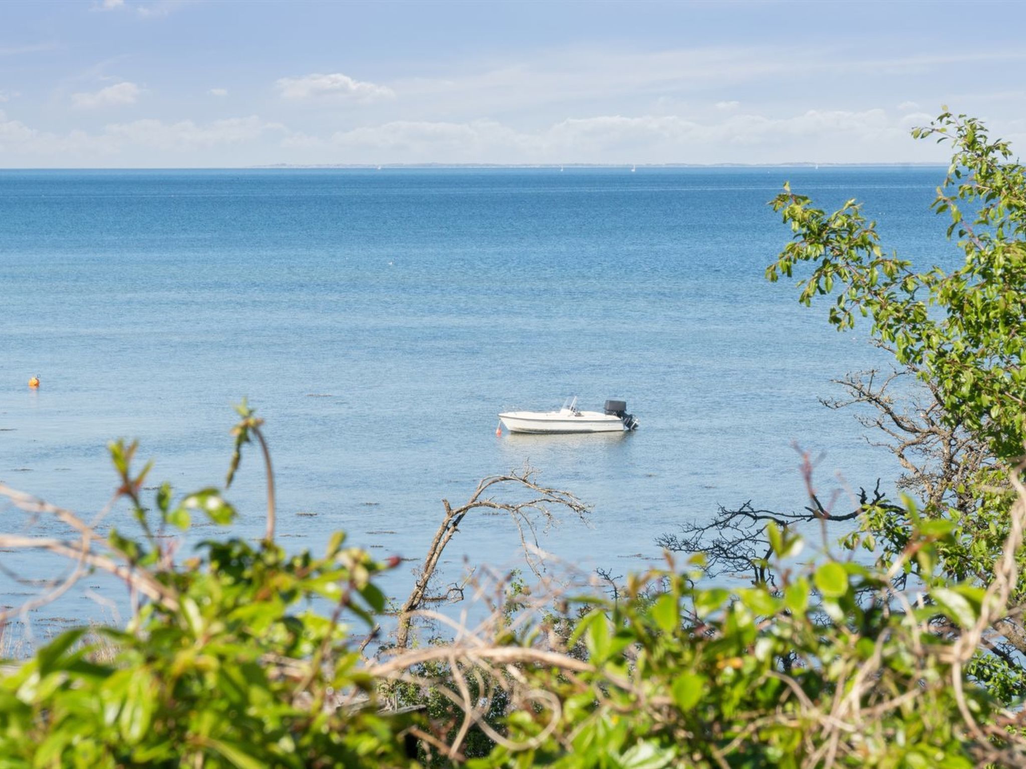 "Titta" - 10m to the fjord